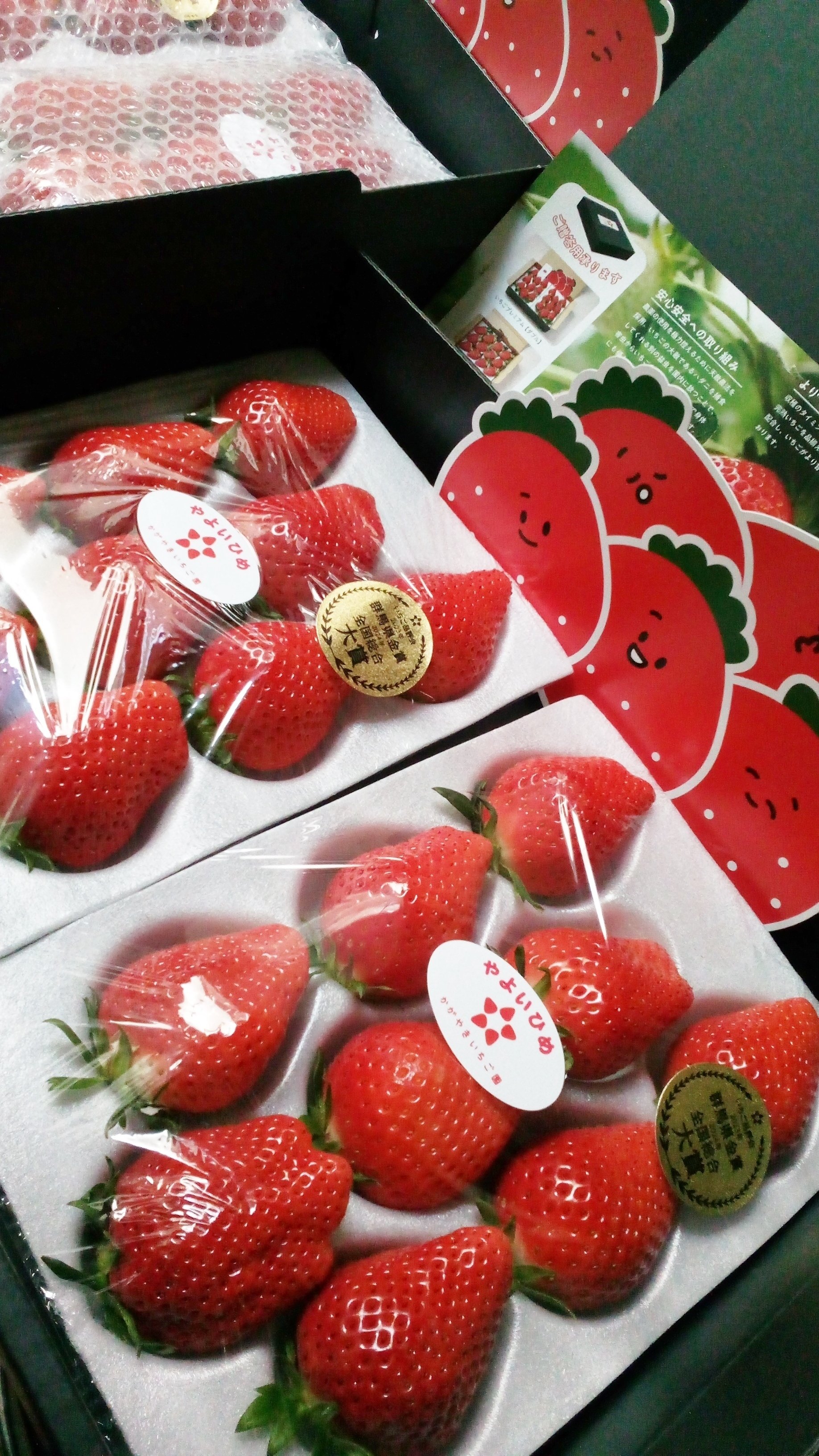 2026年いちご最新事情】猛暑を越えた「農家の執念」と「逆転の甘さ