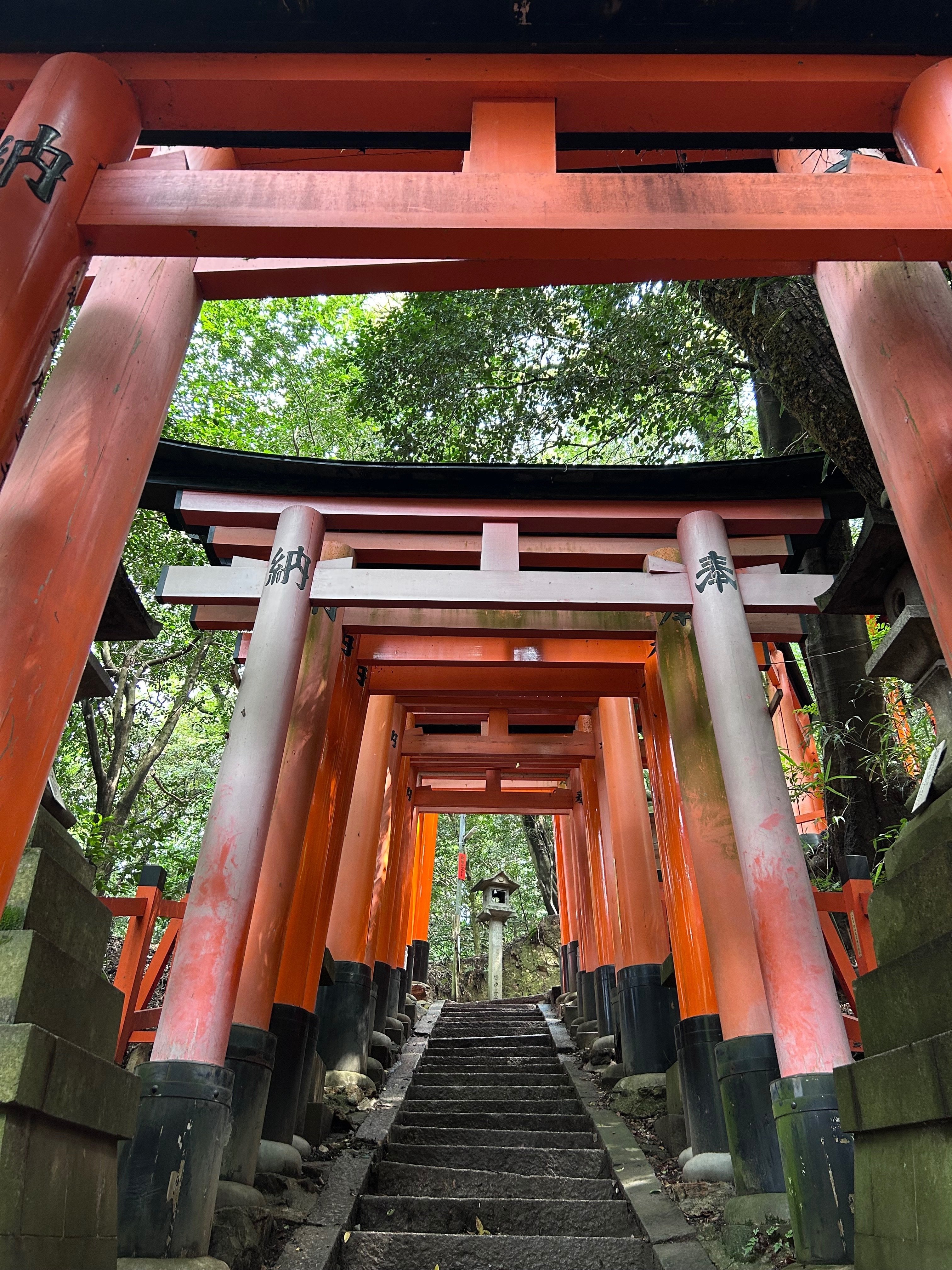 京都・伏見稲荷大社の稲荷山にのぼり、受験について考えてみた｜night owl