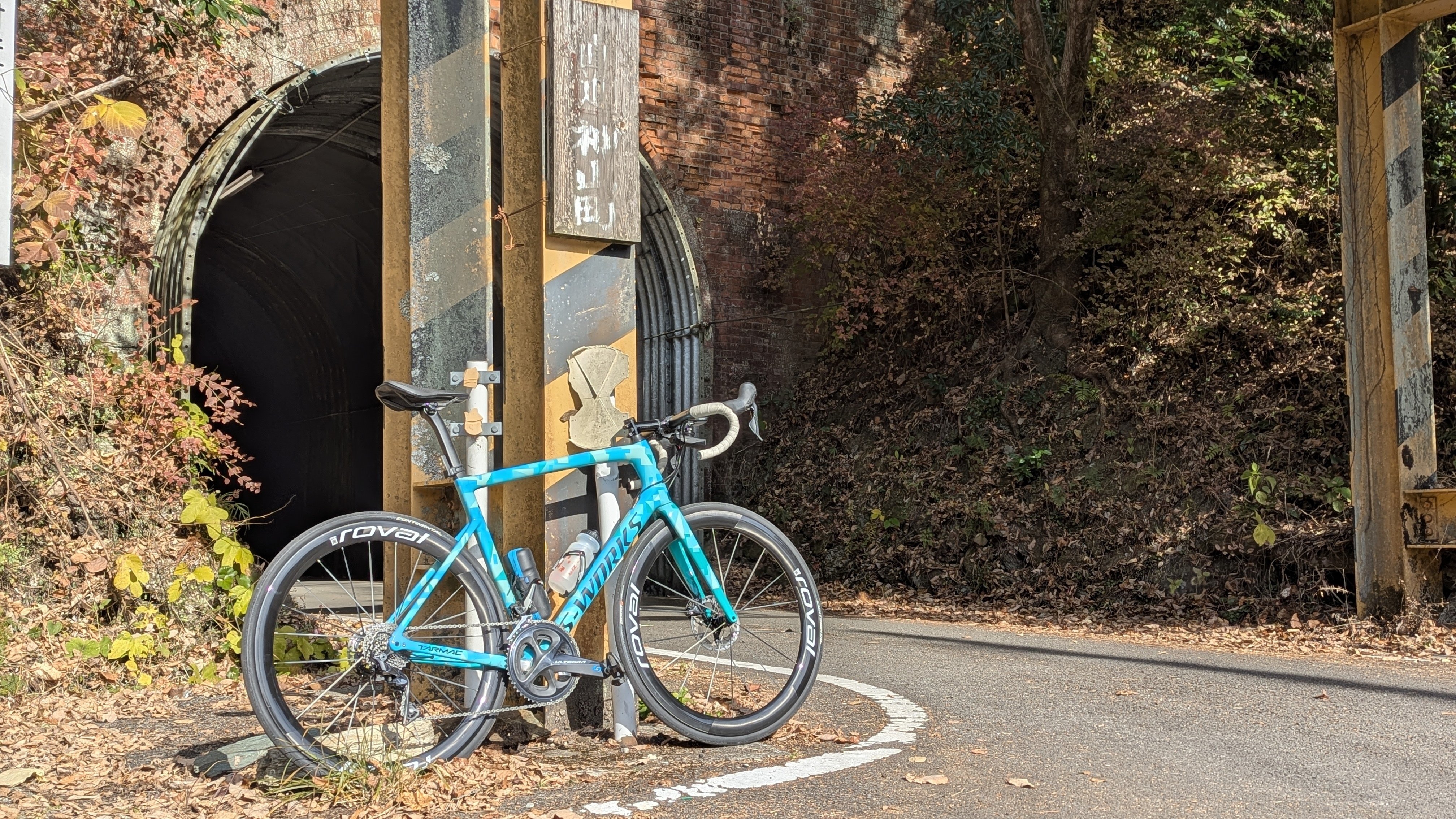 Specialized ROVAL RAPIDE CLX III —究極のオールラウンダーの完成形