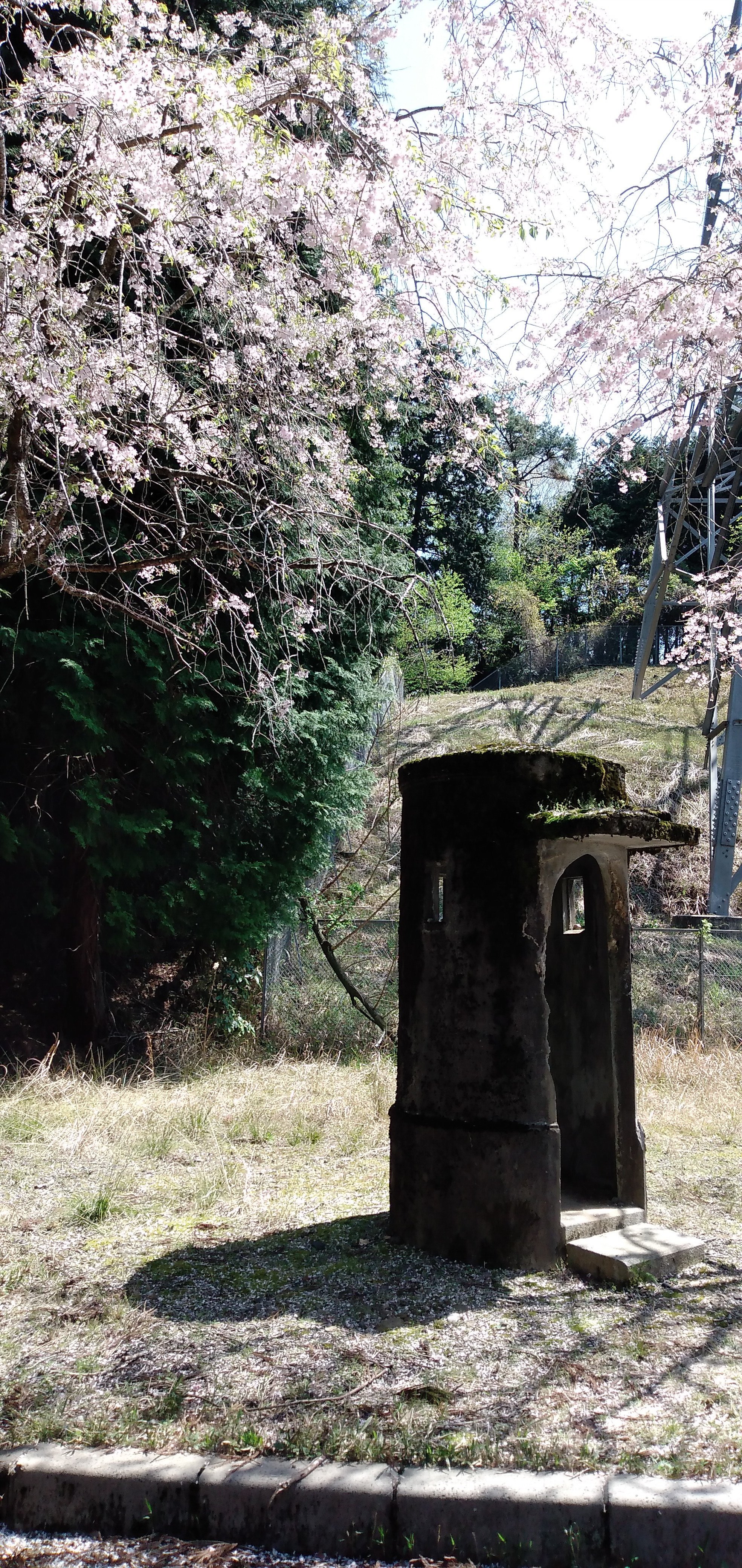 033 お出かけ 関ヶ原鍾乳洞ピックアップ｜二度寝研究所