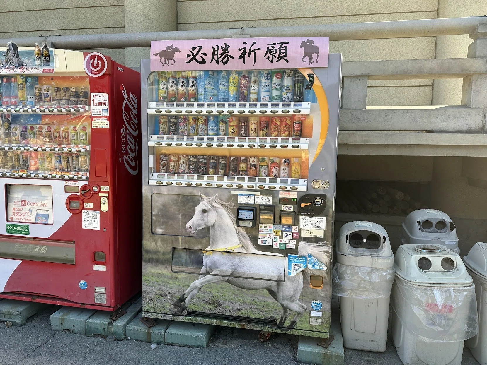 日記】京都競馬場に行ったら万馬券が当たった話【競馬】｜ゴトー