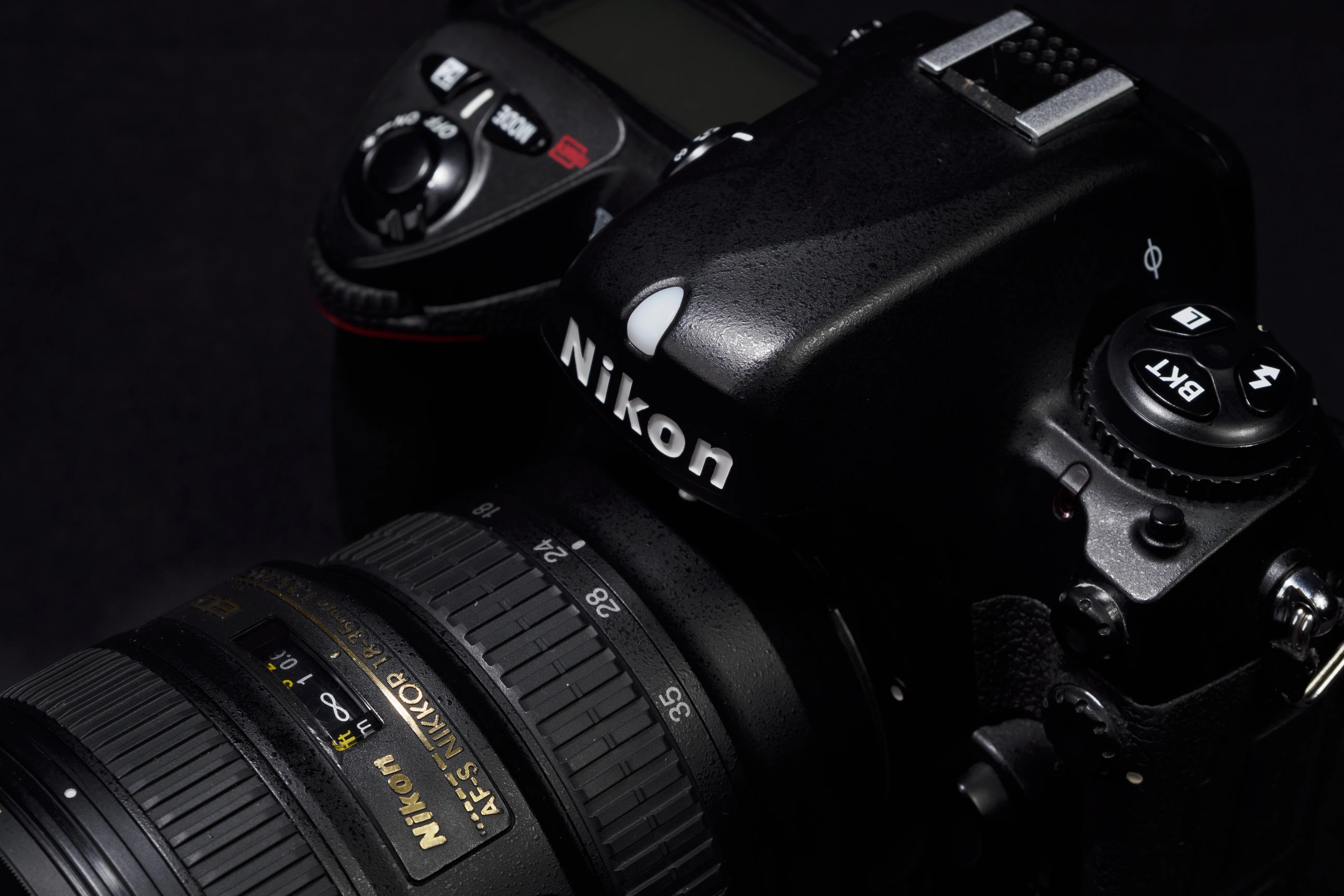 どうせNikon D2Xも楽しい。｜sugarkrone