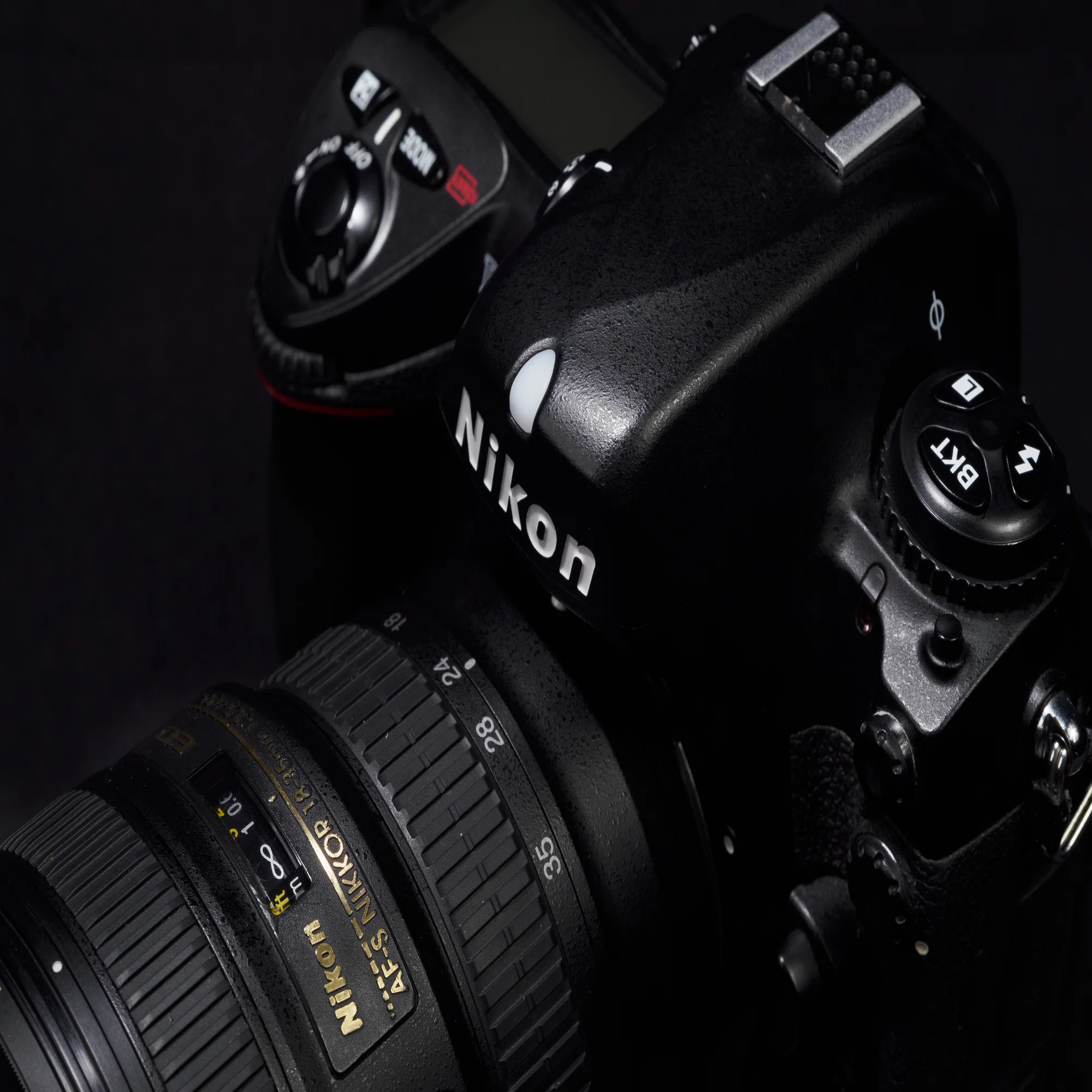 どうせNikon D2Xも楽しい。｜sugarkrone