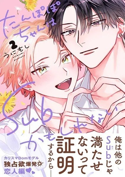 電子書籍 ボーイズラブ・BL漫画 週間人気売上ランキング👑【2026/01/10