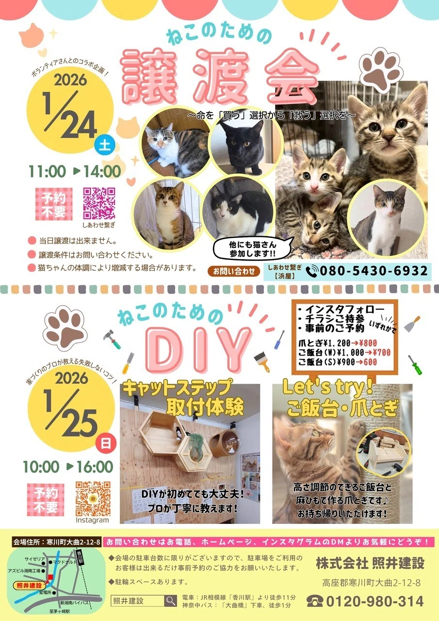 猫にやさしい寒川町 ― 照井建設が主催する猫のためのイベント｜寒川町