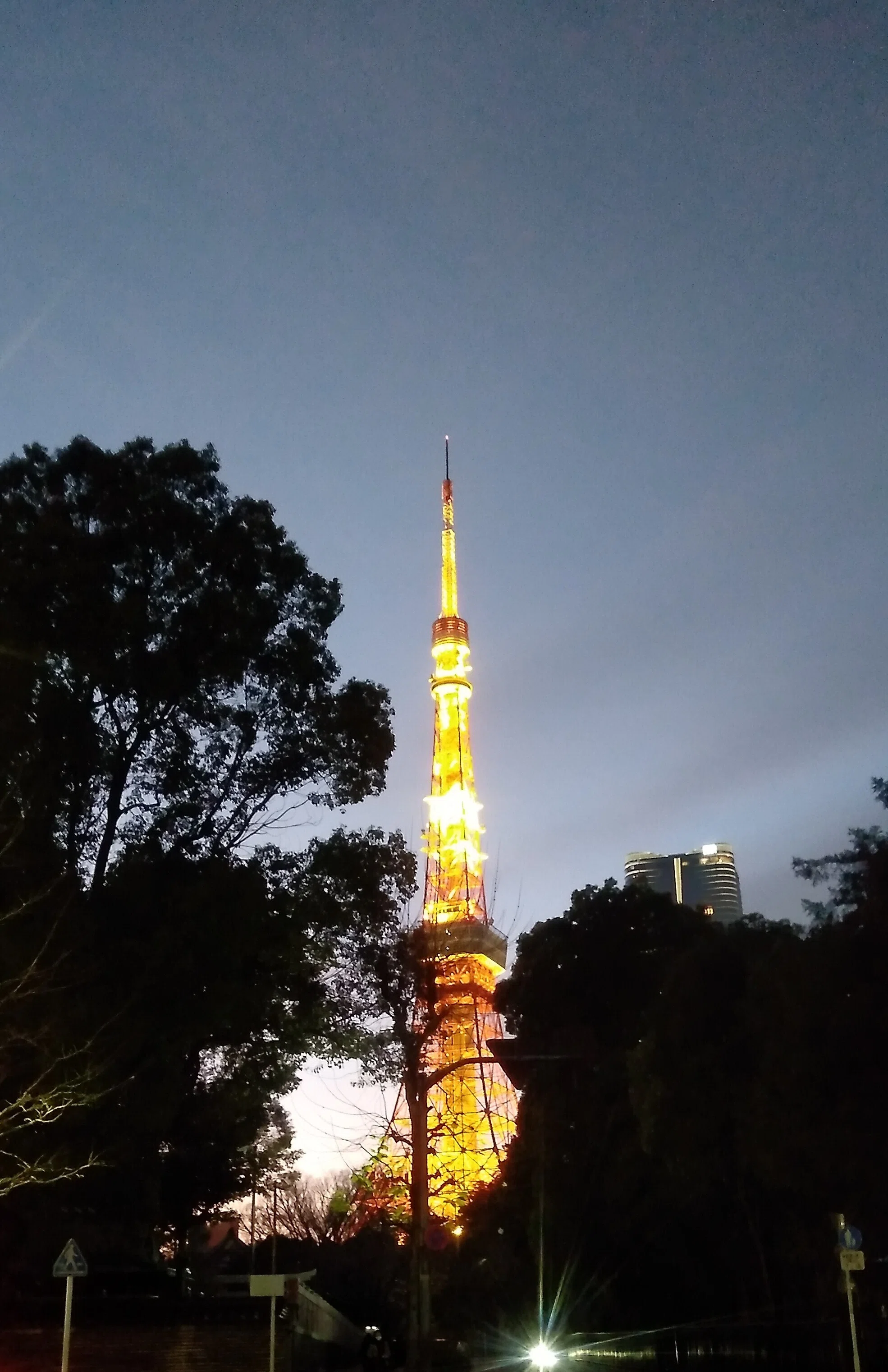 昔🗼東京タワーが車窓から見て奇麗だ！と思った角度を再現。もっと暗い