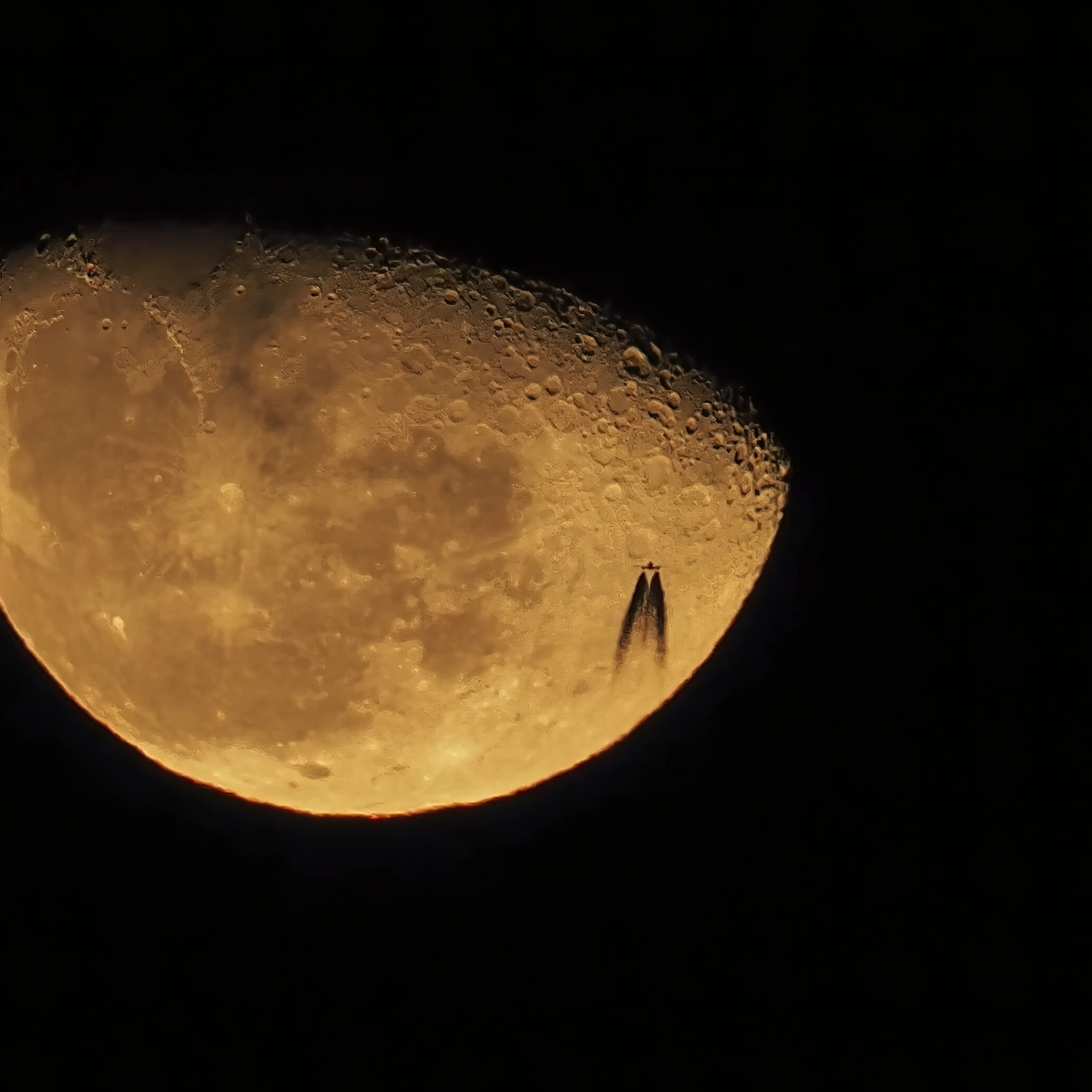 Photographing the Moon｜隻 つかさ