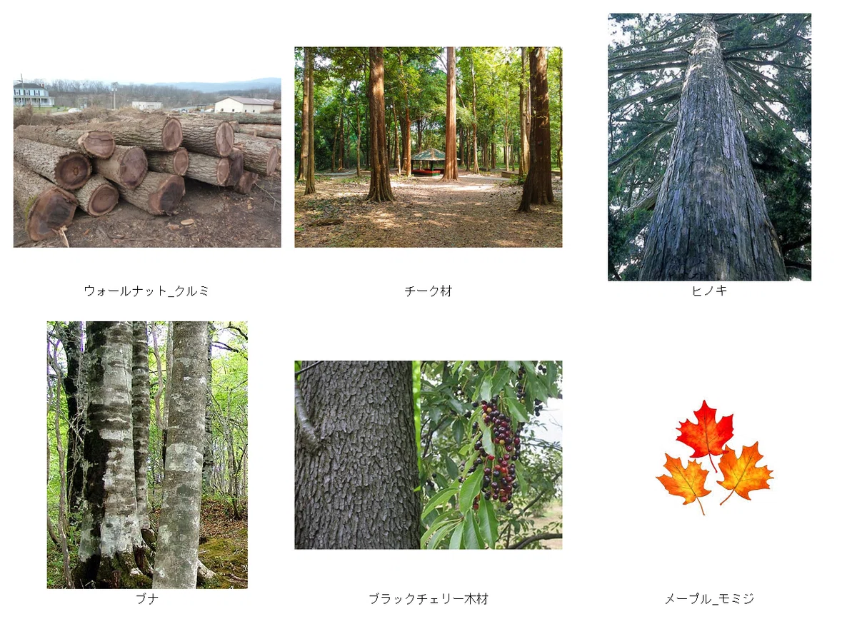 コースターに適する木材(写真一覧)|linhuiqun