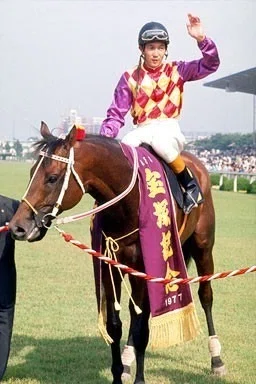 競馬 勝負服 トウショウボーイ 史上最速馬トウショウボーイ｜かず