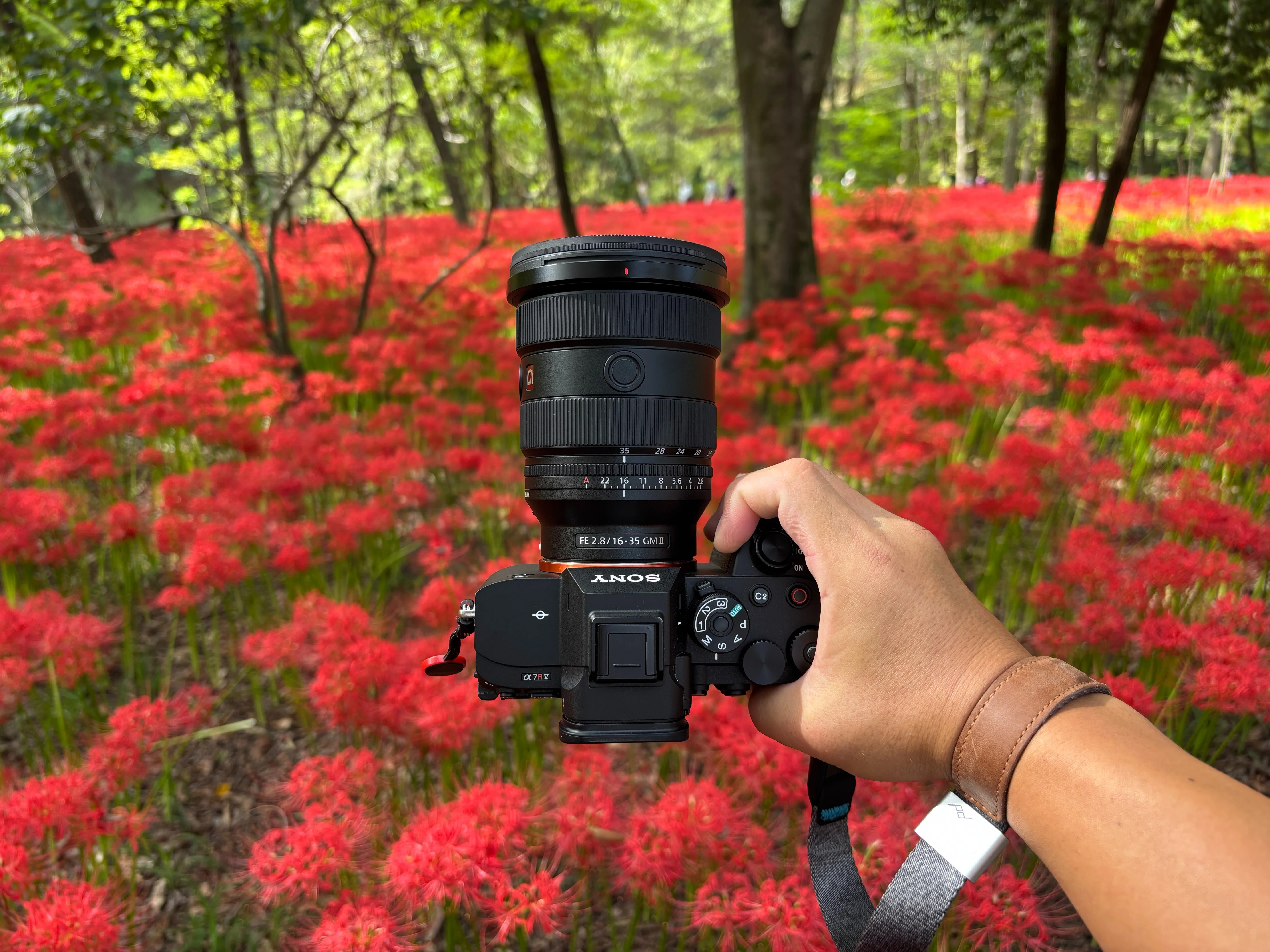 SONY FE 16-35mm F2.8 GM II作例レビュー【マイベストレンズ】｜久保直之