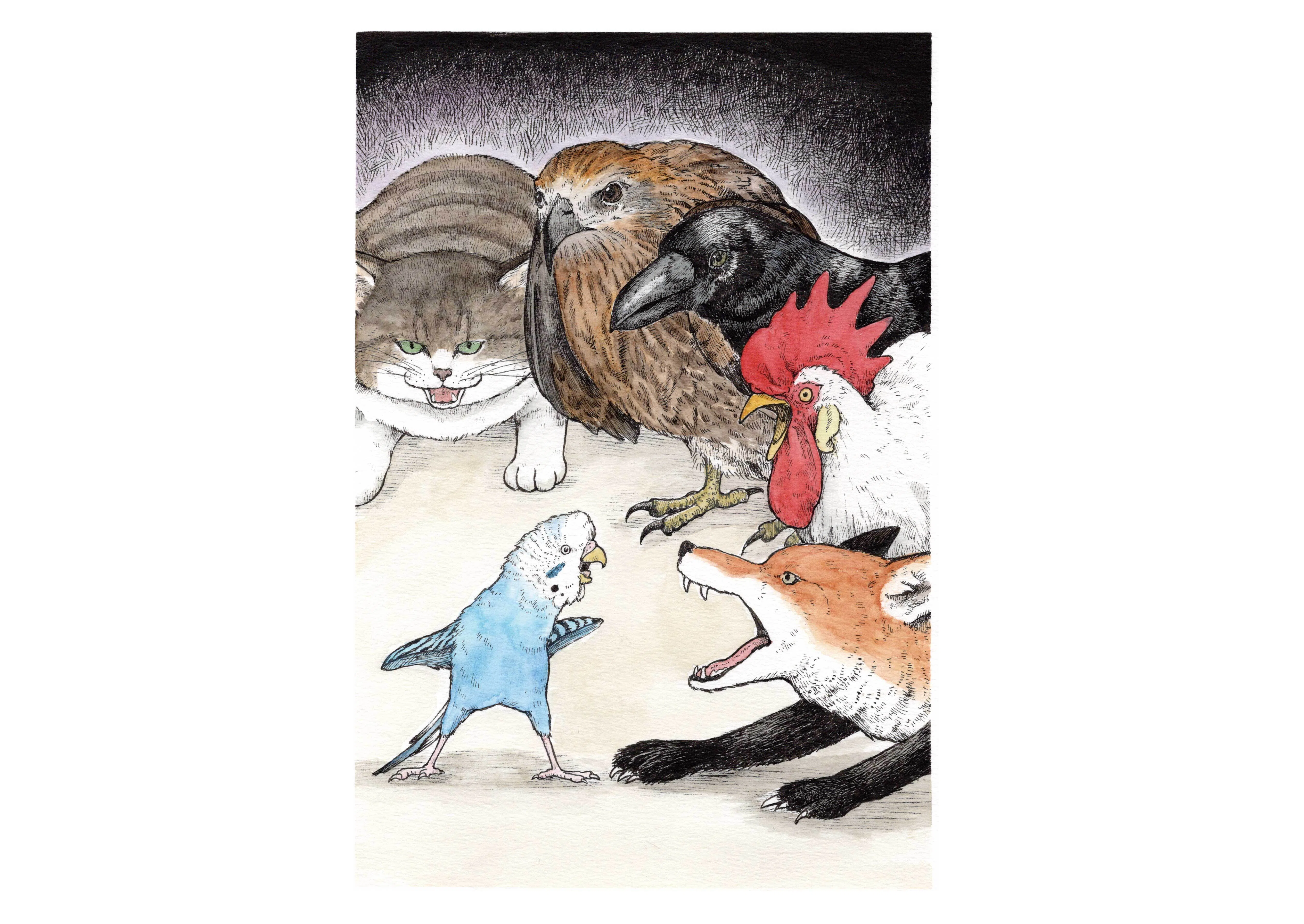 絵本】暴れんぼバードの小鳥神｜鳥と獣