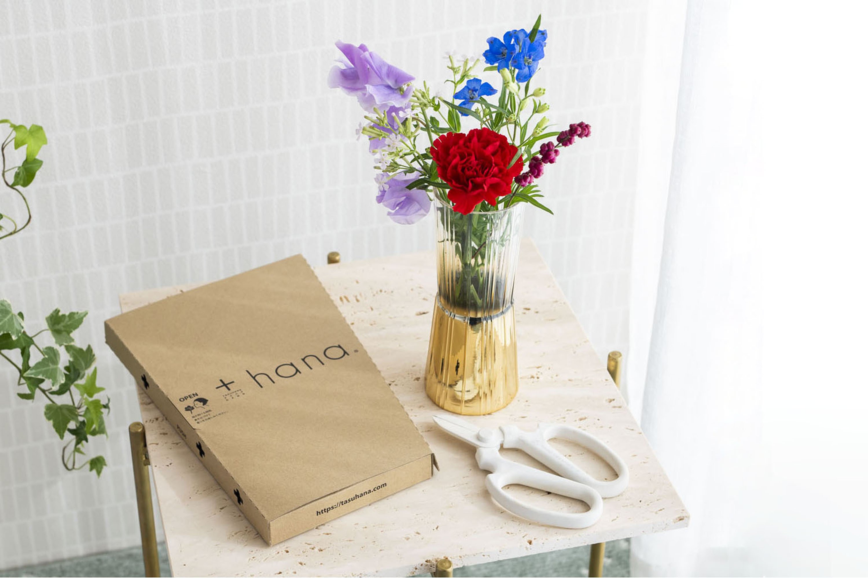 新春御礼！+hana 2026年 あけまして花瓶プレゼントキャンペーン」+live