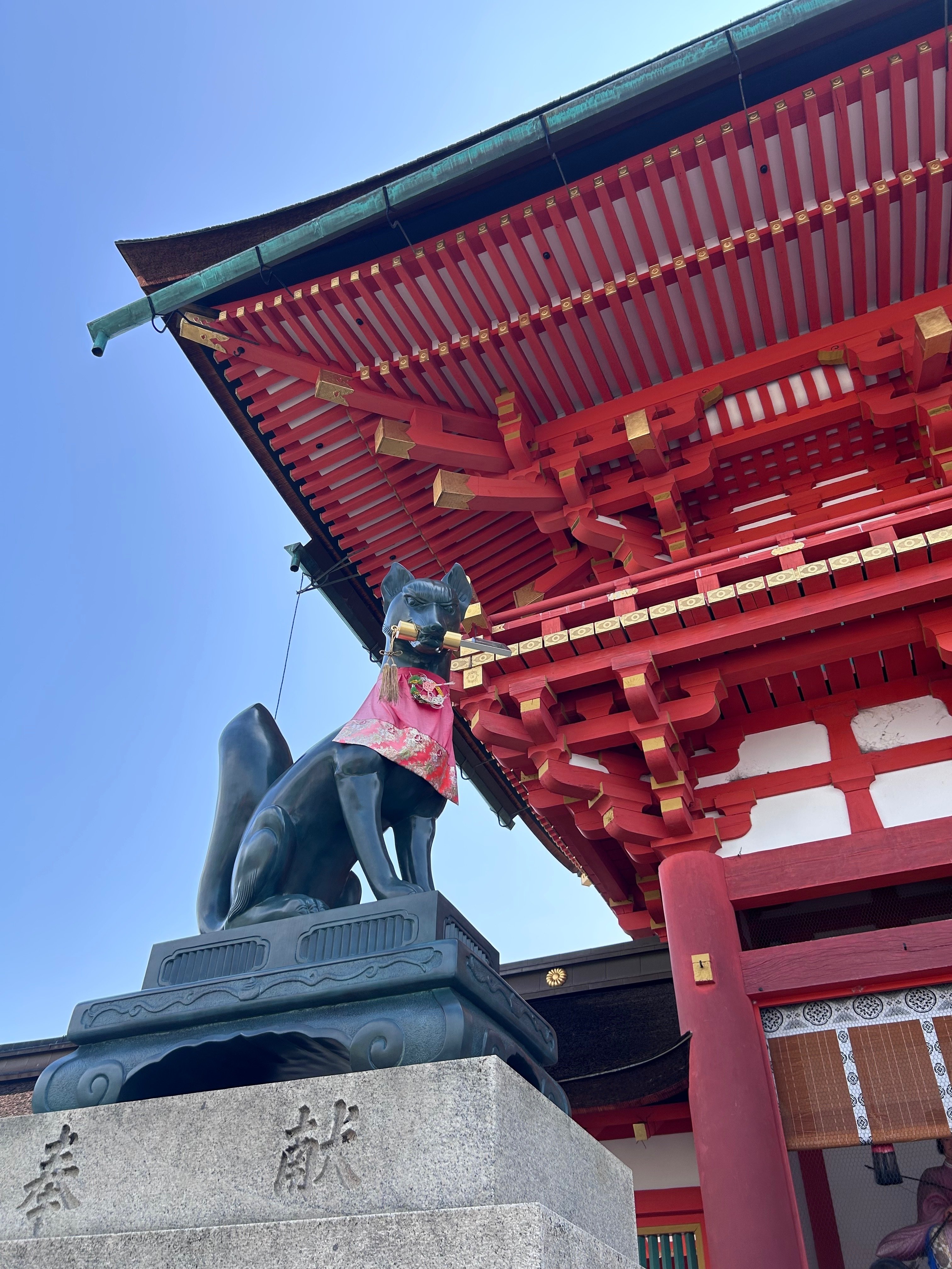 京都・伏見稲荷大社の稲荷山にのぼり、受験について考えてみた｜night owl