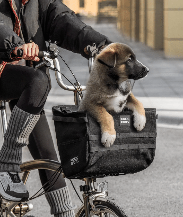 愛車が「買い物上手」に進化する。1万円以上安く手に入れたROCKBROSの