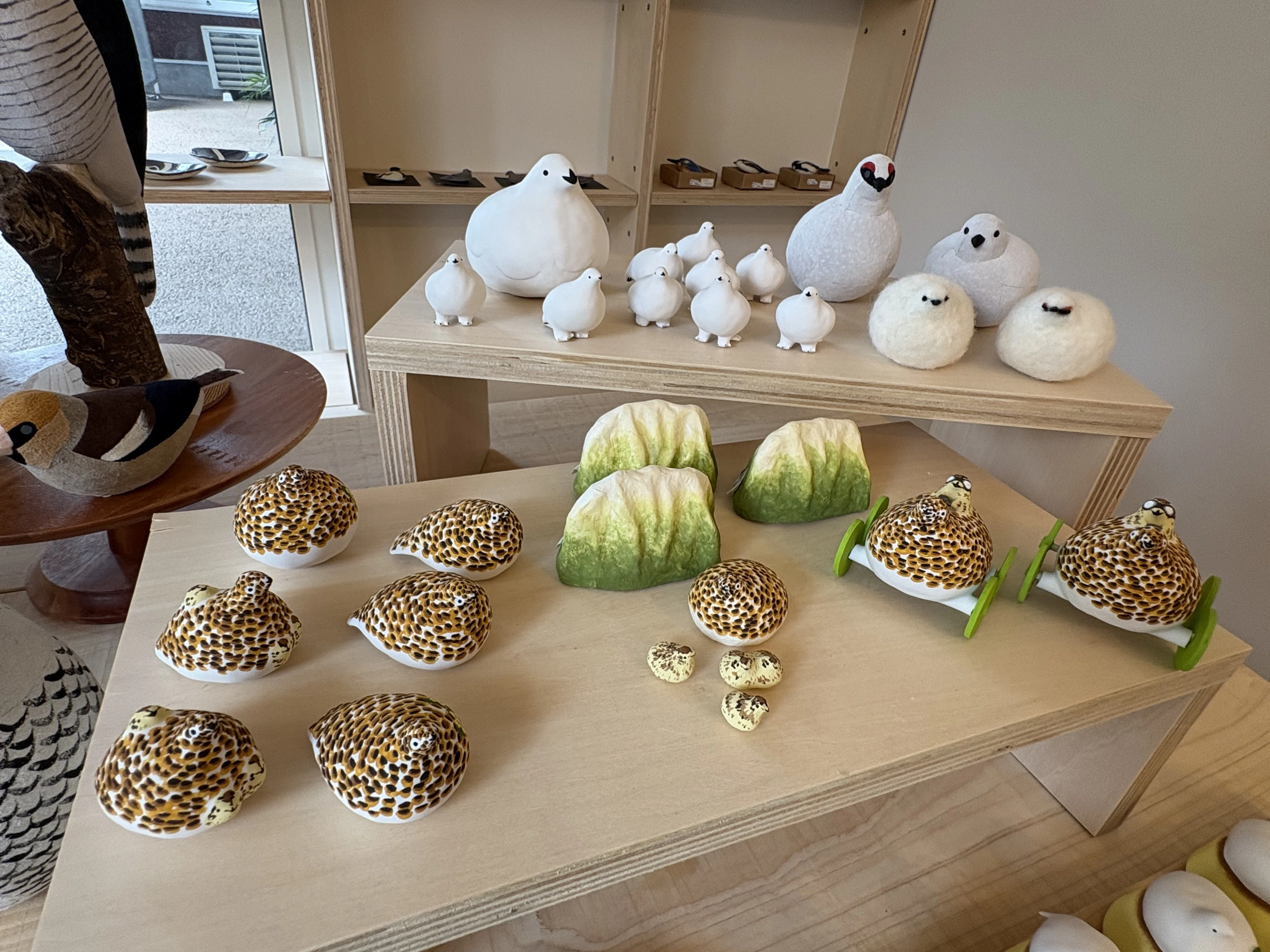鳥展｜waccawacca