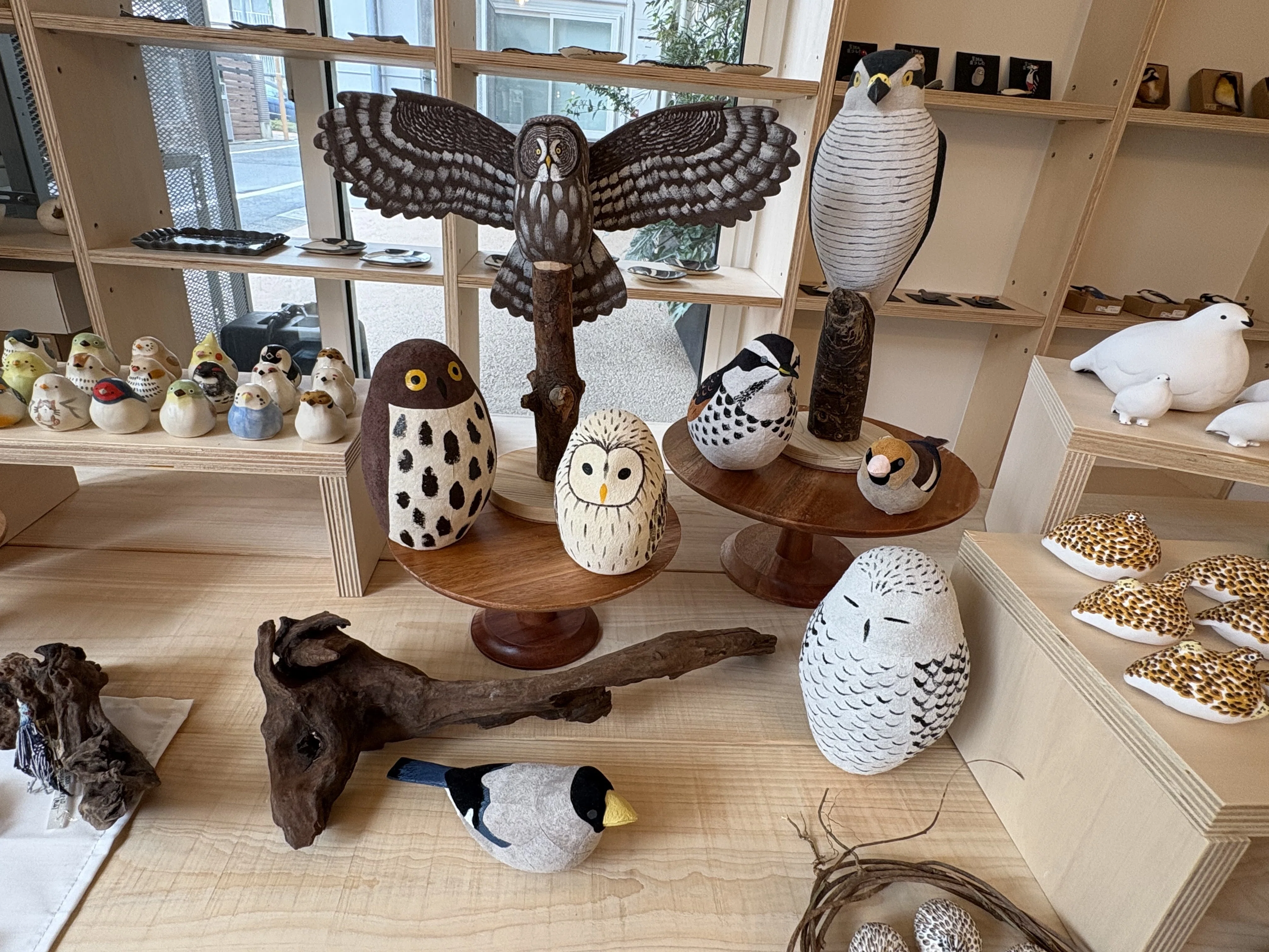 鳥展｜waccawacca