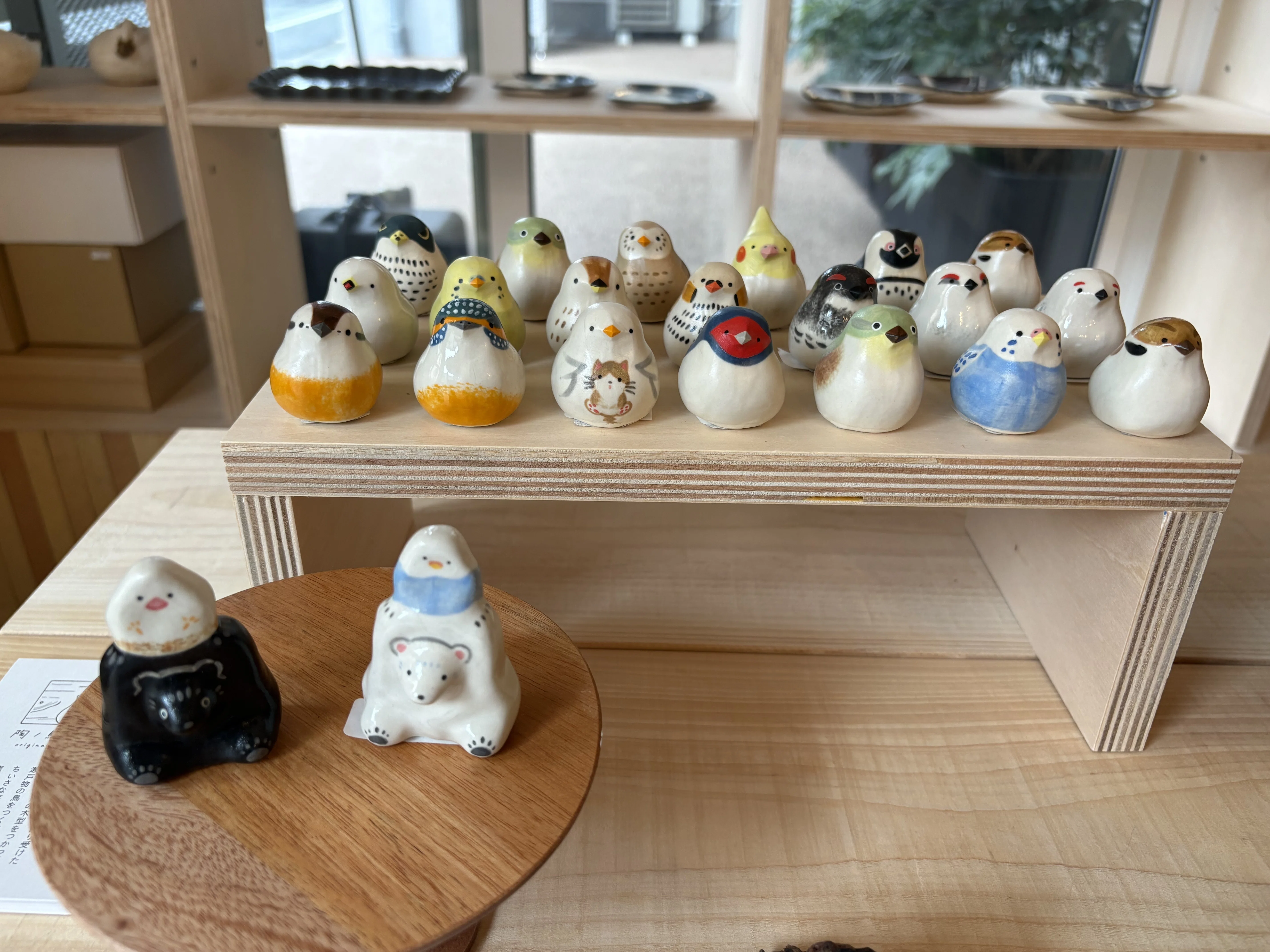 鳥展｜waccawacca