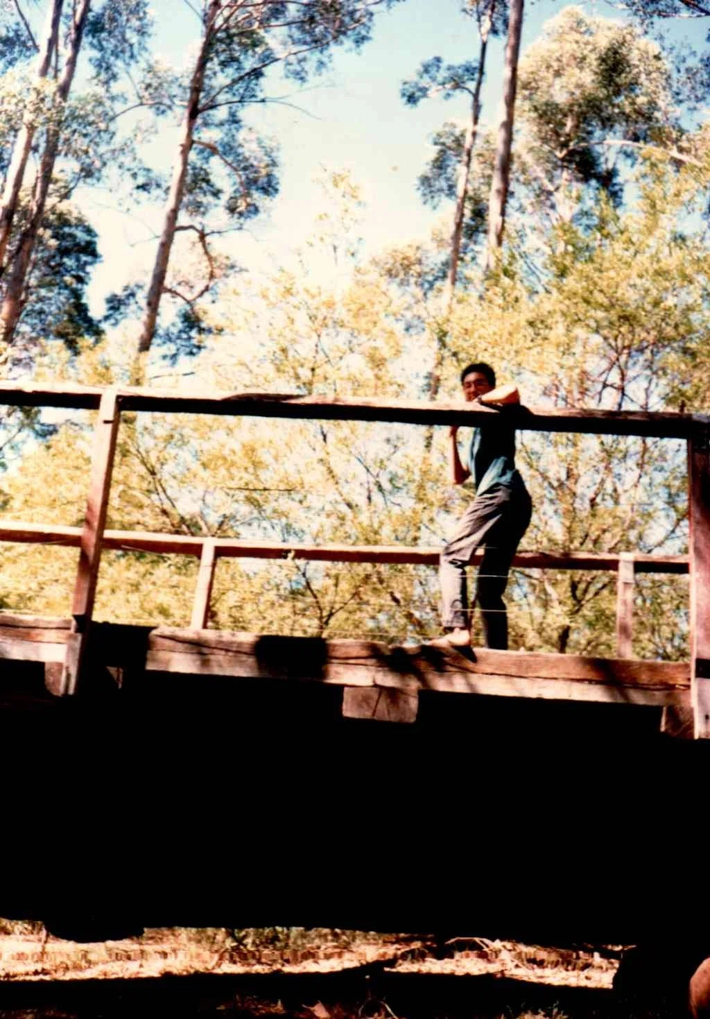 One Tree Bridge 「私家版」 20世紀のオーストラリア・ラウンド記(その29)|Okuiu tosa