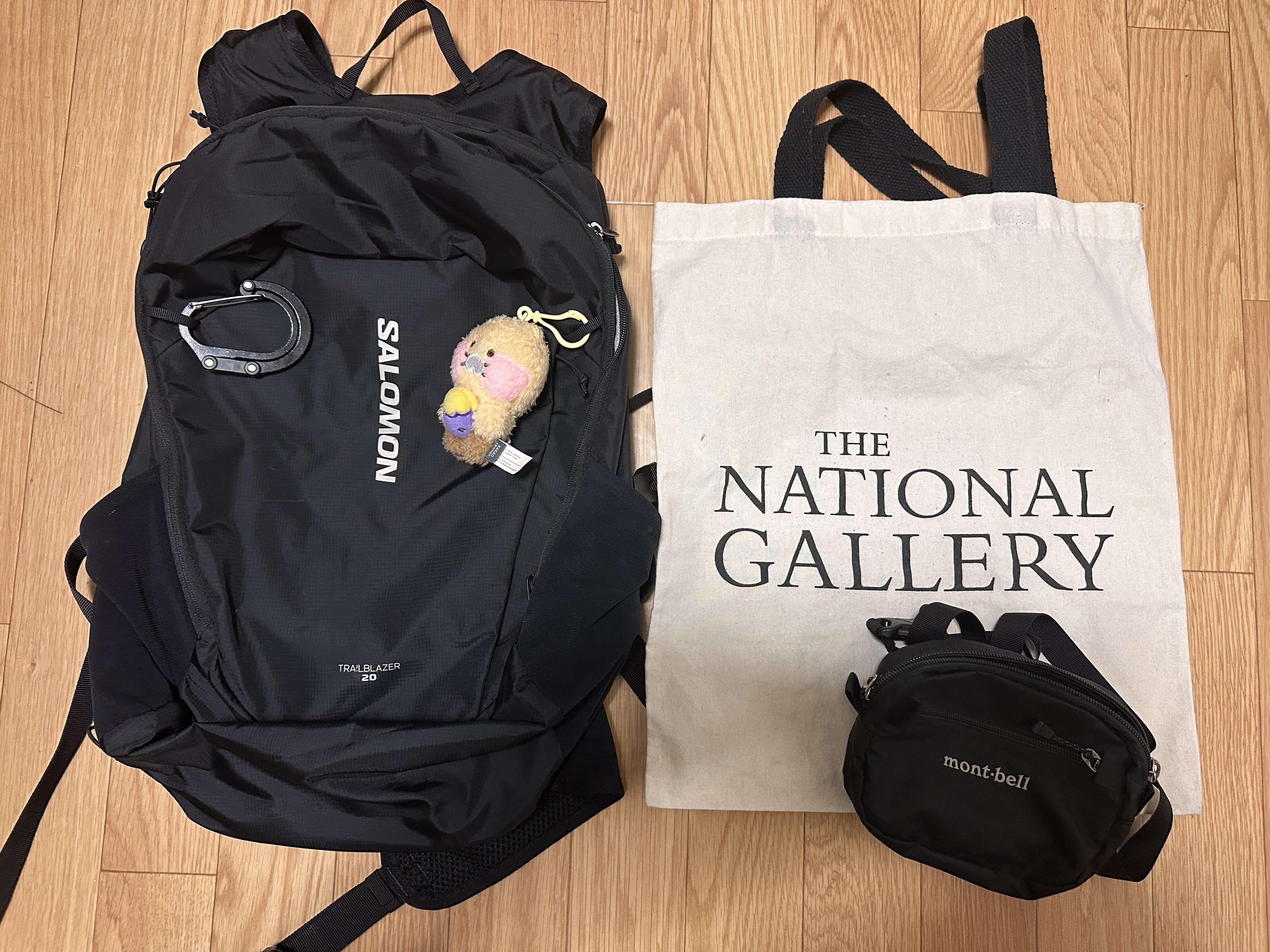 サブバッグ編】重さわずか434g!! PCも入るSALOMON TRAILBLAZER 20が旅