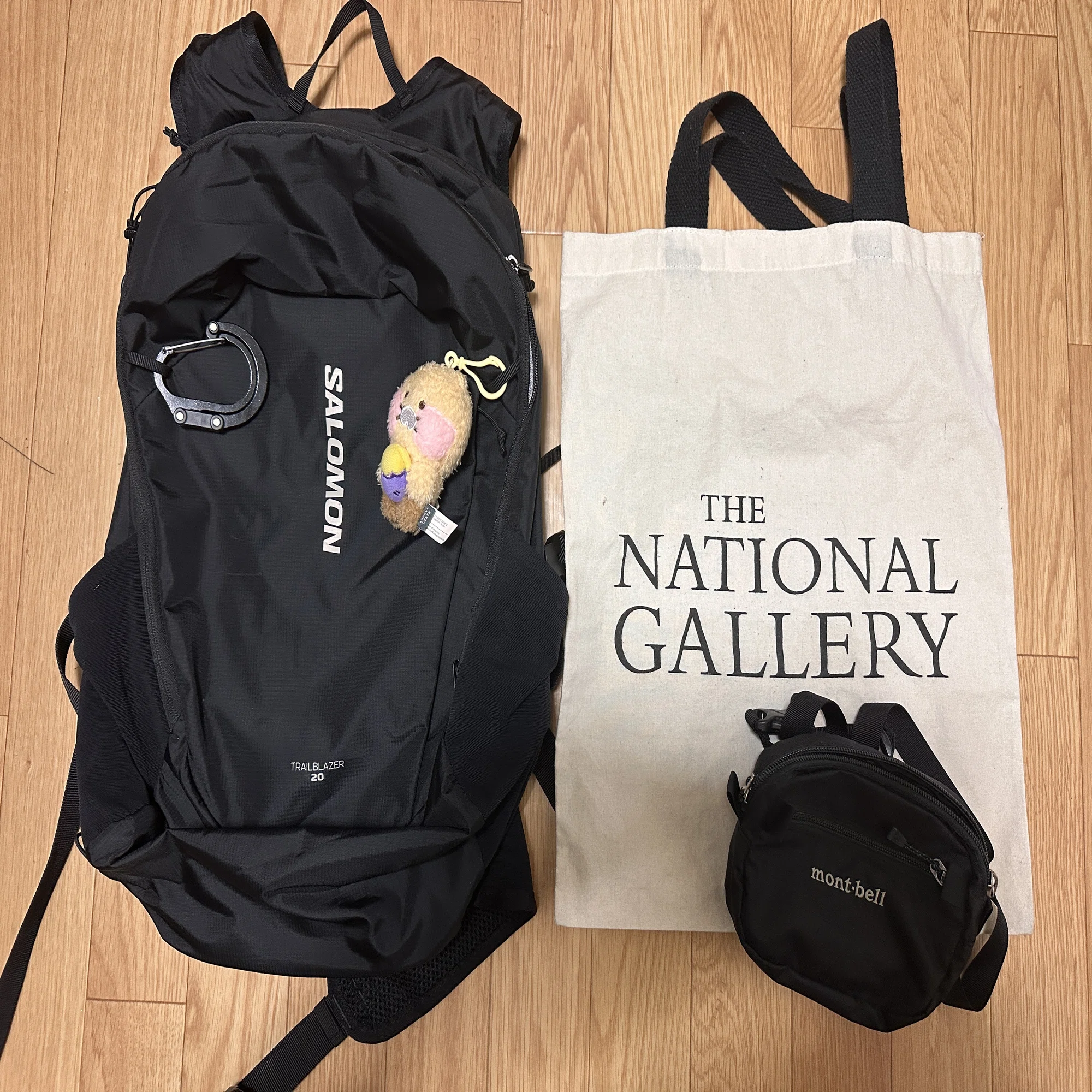 サブバッグ編】重さわずか434g!! PCも入るSALOMON TRAILBLAZER 20が旅 