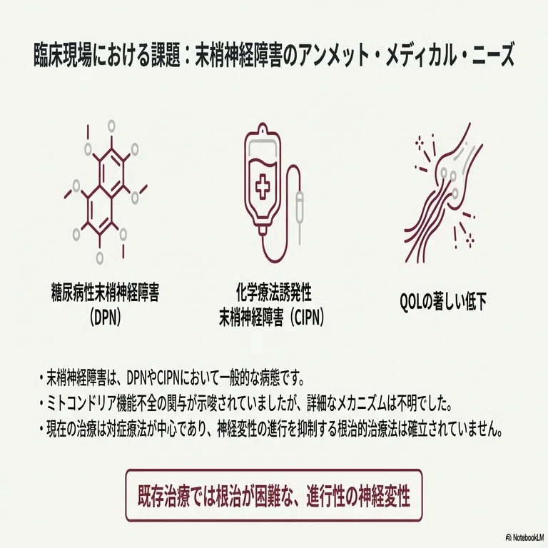 末梢神経障害の新たな主役：ミトコンドリア｜Neurologist & Headache