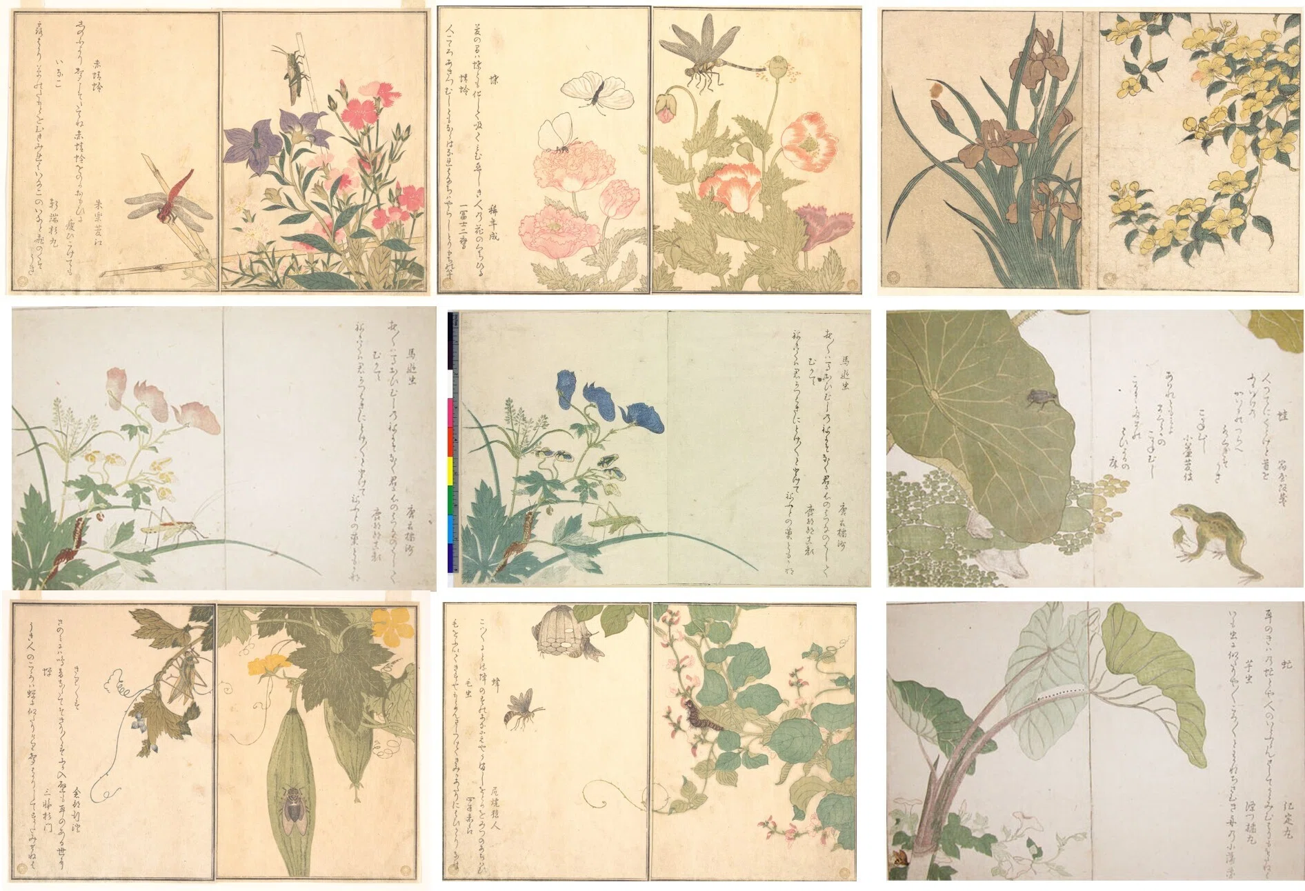 植物画とは何か＞（4）ー4：「花鳥画」の美の由来。｜わたなべ・えいいち