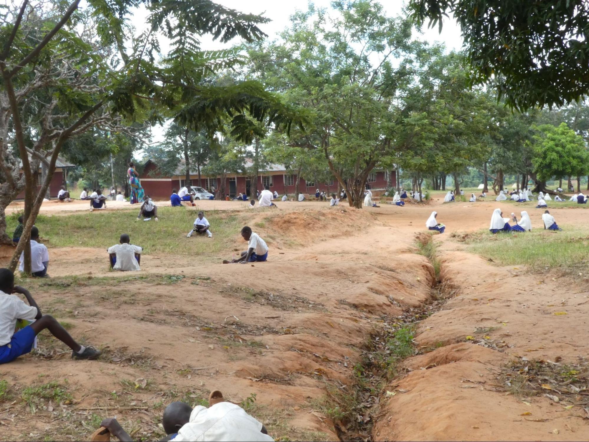 アフリカの水」を飲んでしまった｜tayo研究紹介企画チーム