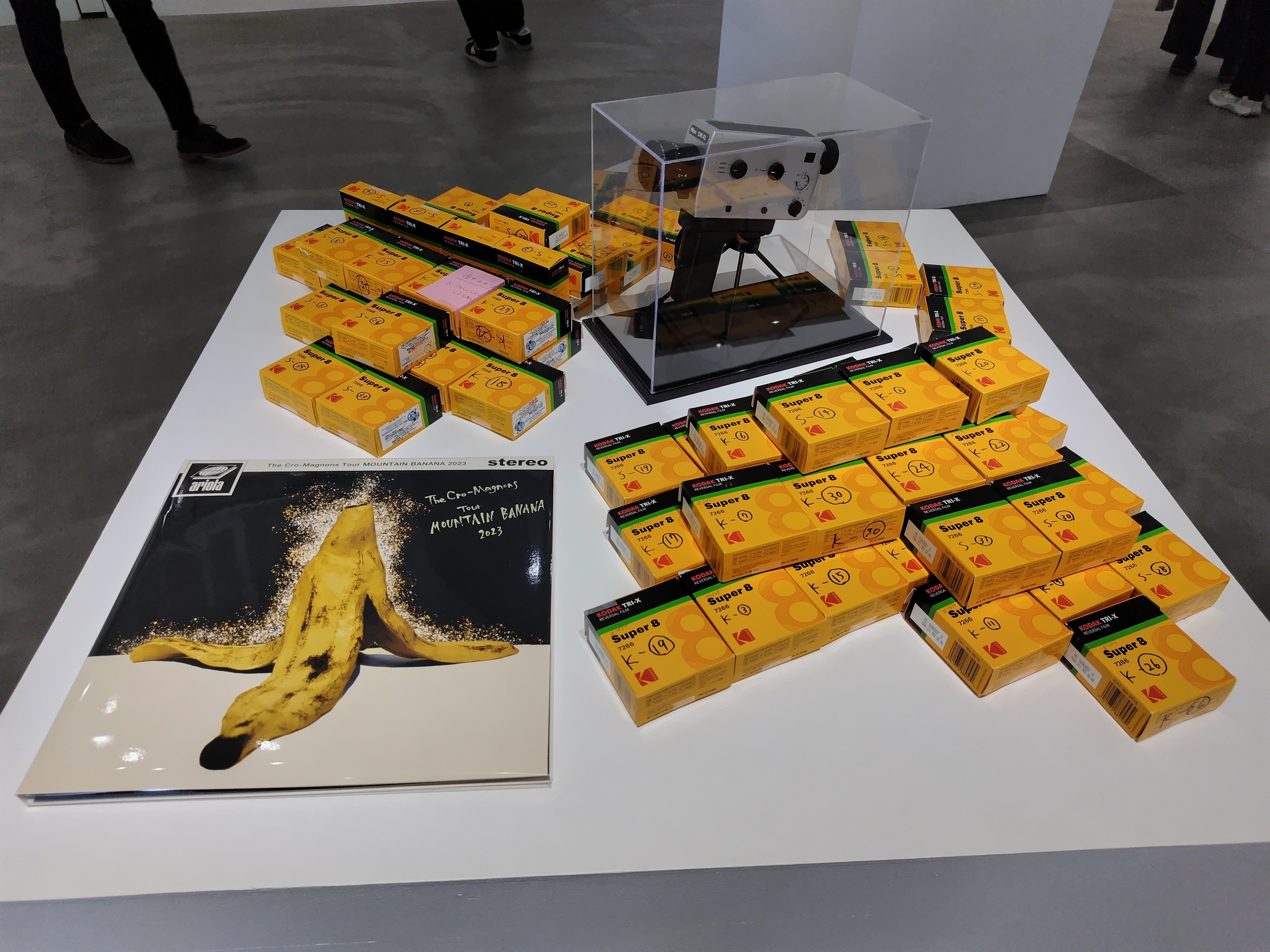 菅谷晋一さんの個展に行ってきた。｜bhku-hm