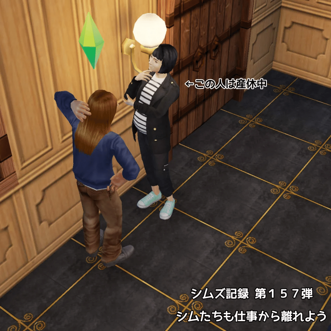 他の方発送×シム・シメール Schim Schimmel 【 夢に届く日 】 他の方