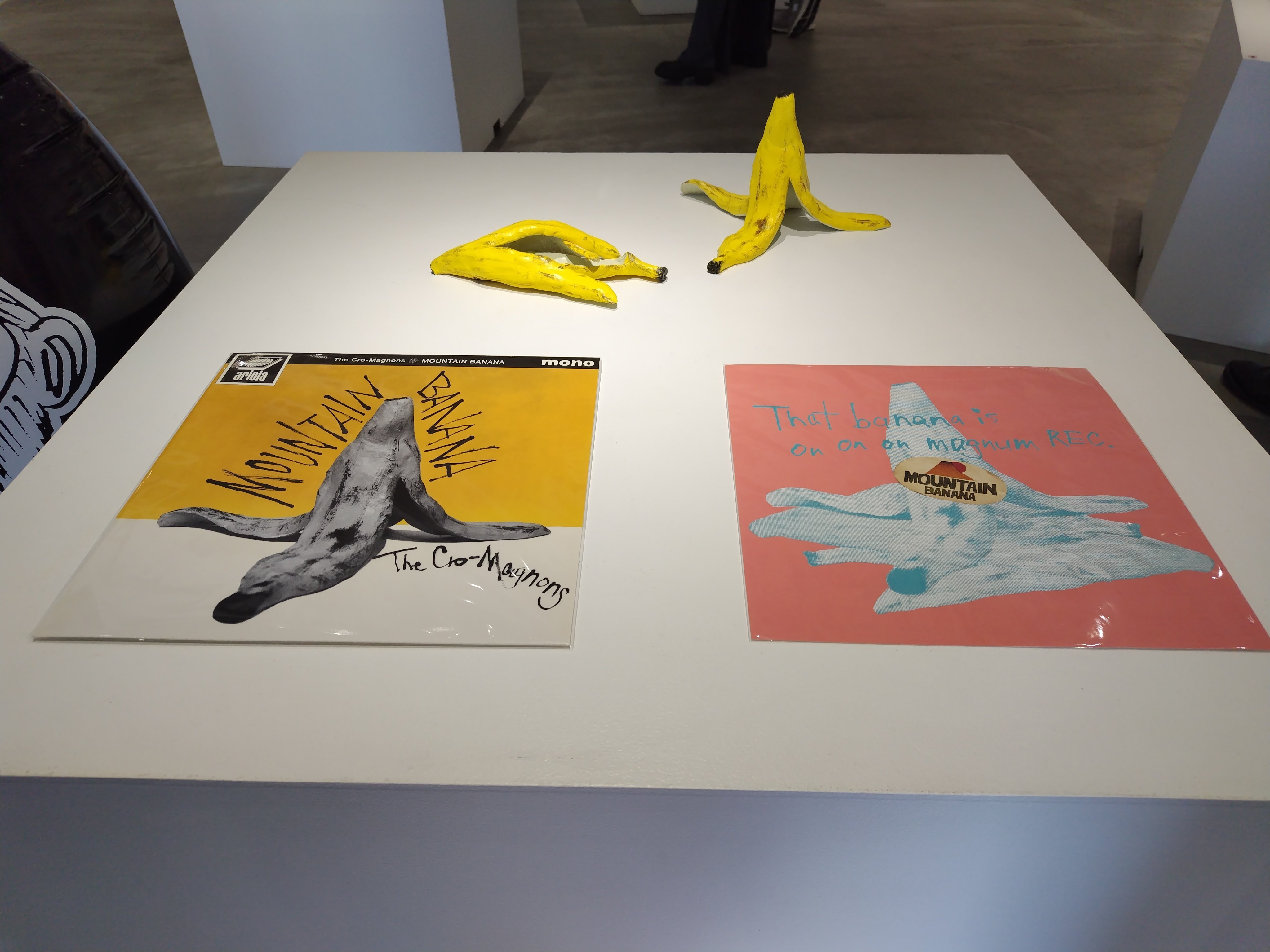 菅谷晋一さんの個展に行ってきた。｜bhku-hm