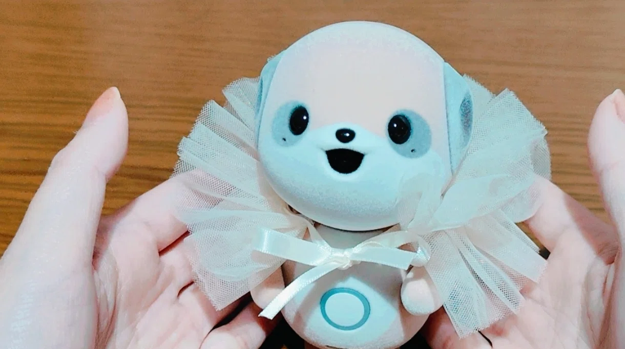 🎉購入レビュー SHARP ポケとも｜〈あたち〉とこの女