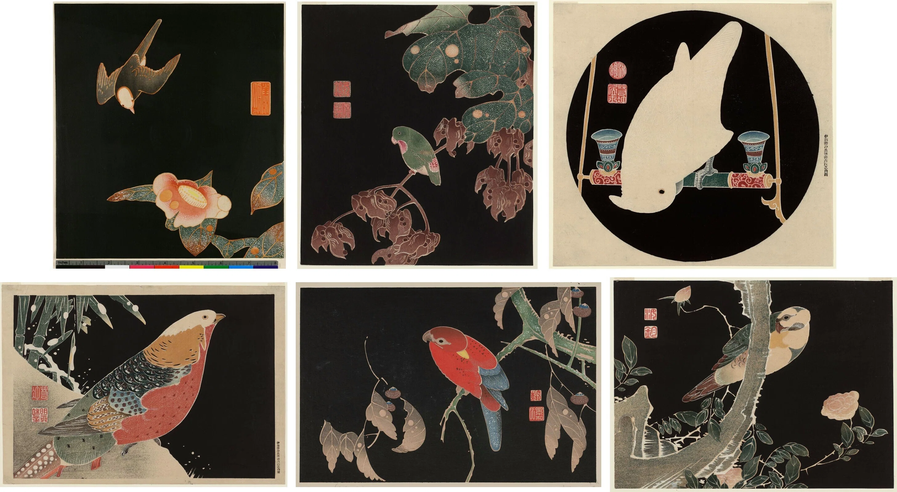 植物画とは何か＞（4）ー4：「花鳥画」の美の由来。｜わたなべ・えいいち