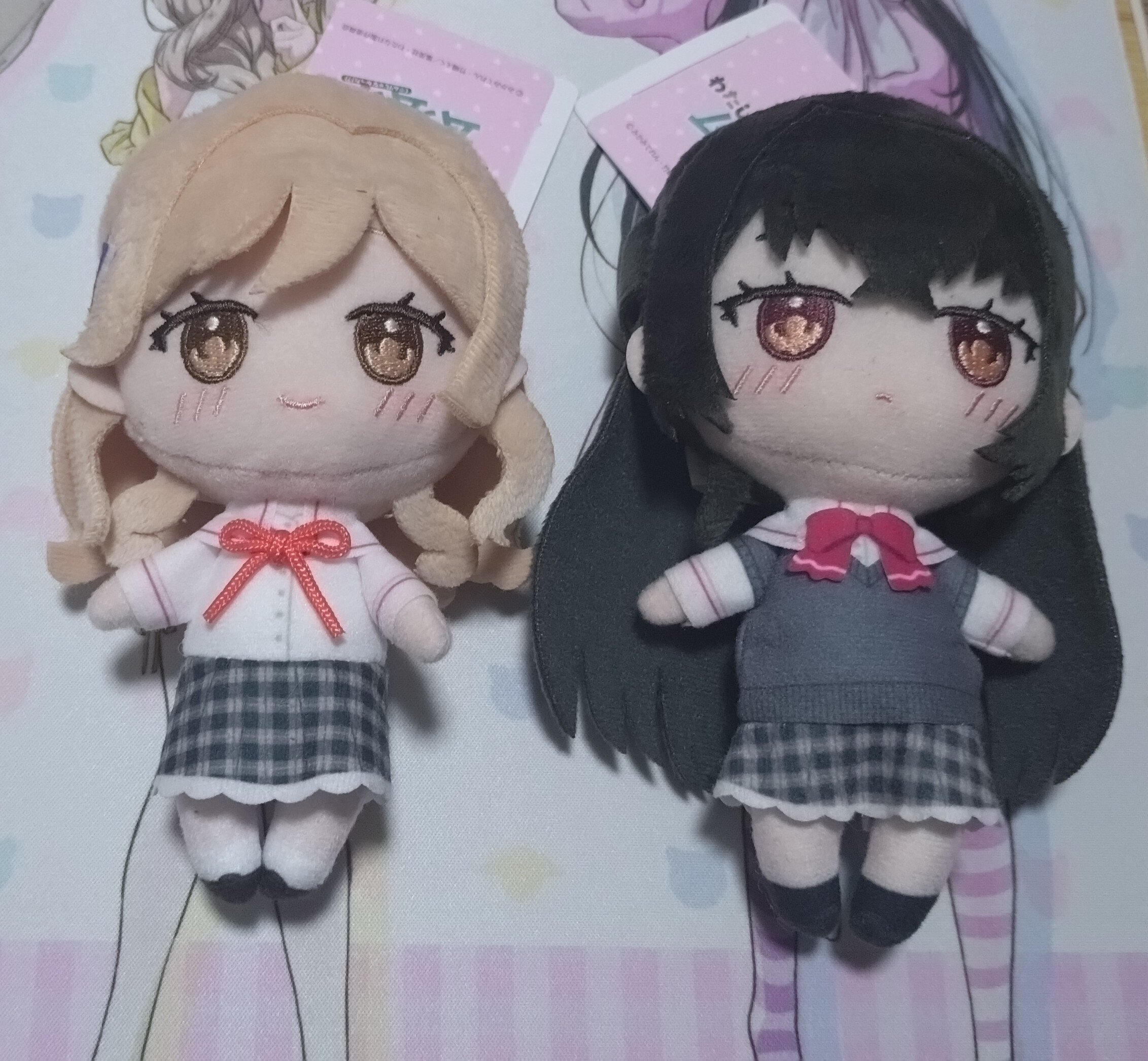 わたなれのプライズを取りに行ったら色々と凄かったお話｜立風太