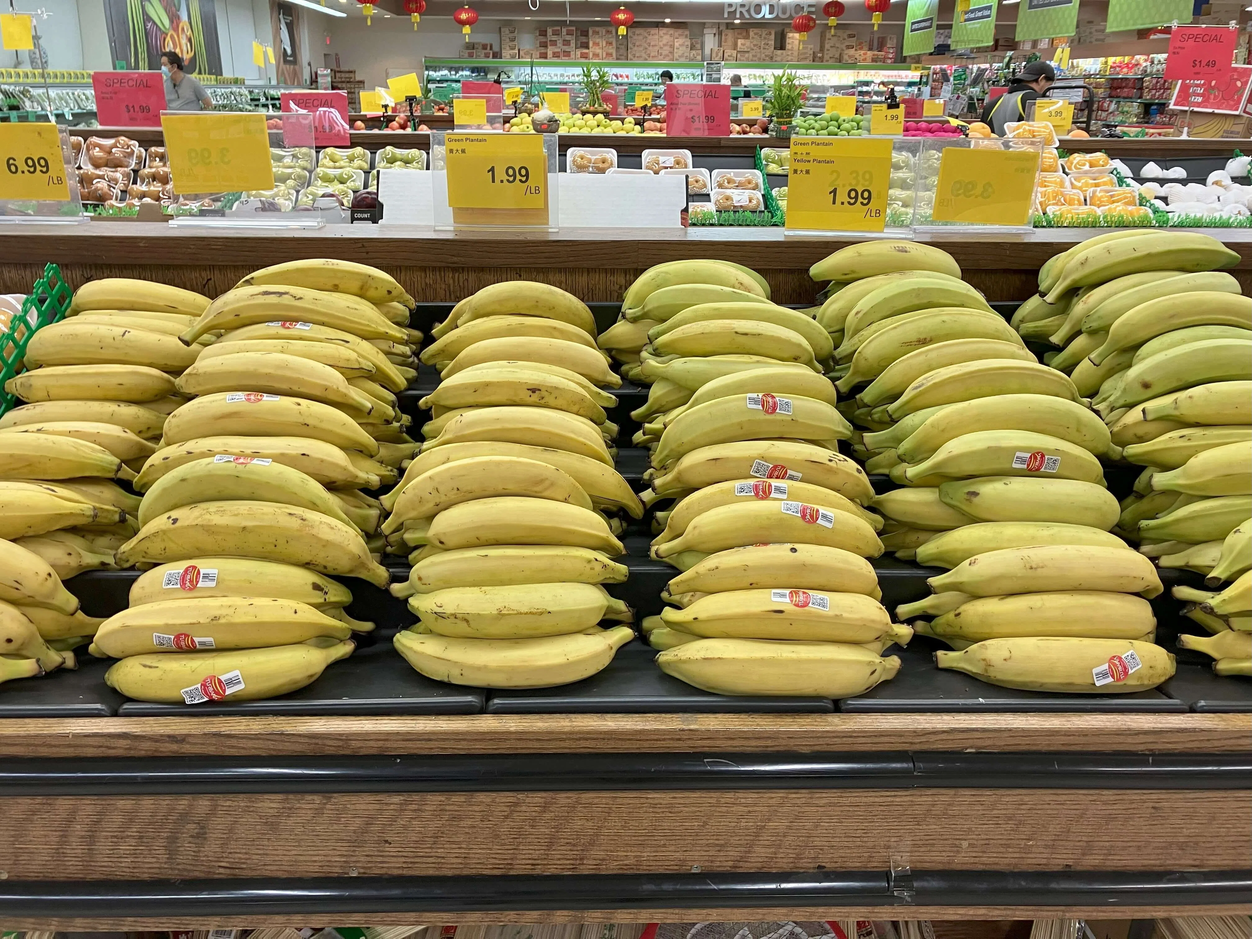 カナダ】これな～んだ？「見ればわかるよ、バナナでしょ」そう思った