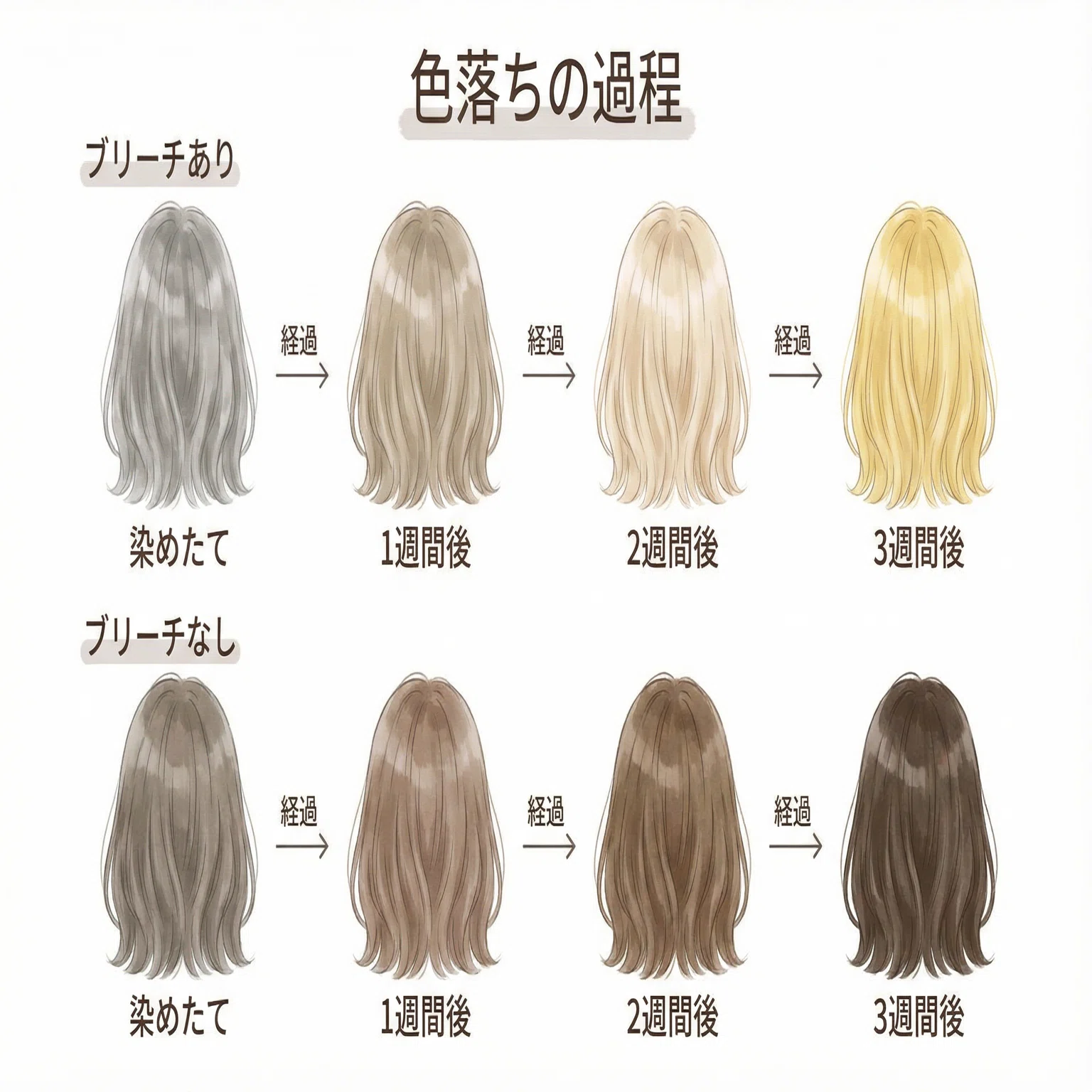 活動歴および当時の関連ビジュアル記録