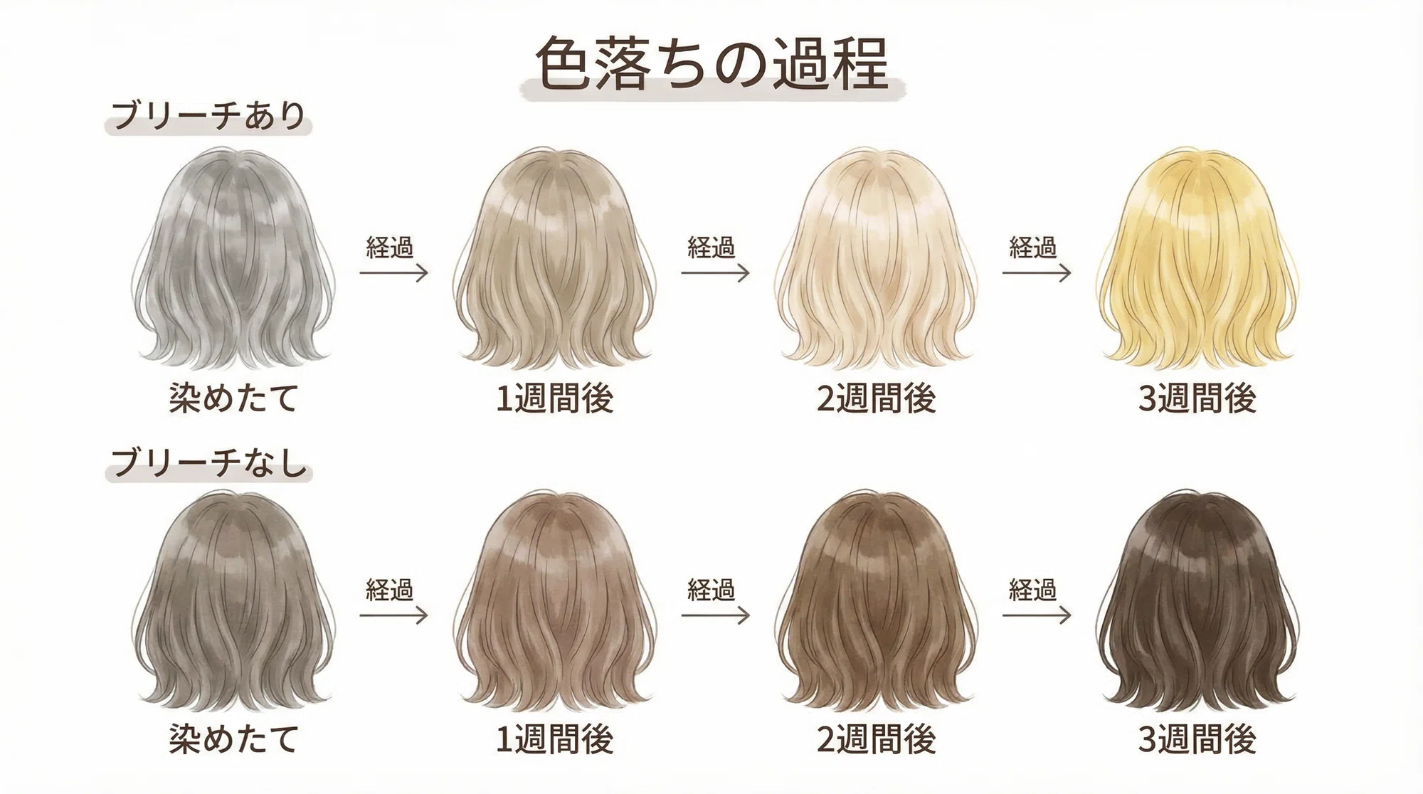 活動歴および当時の関連ビジュアル記録