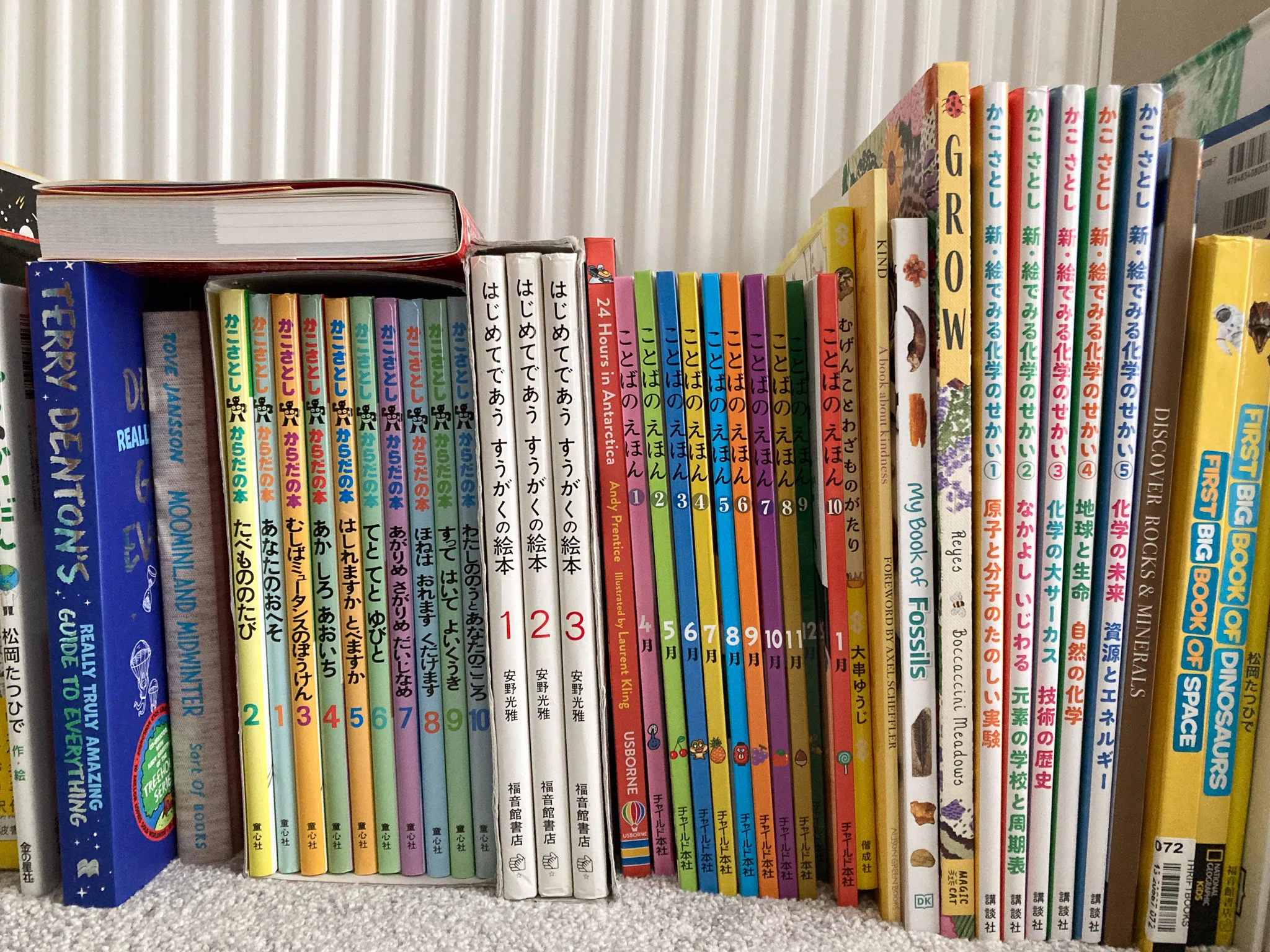 2025年読書記録｜イギリス在住バイリンガル小学生が読んだ本100冊以上