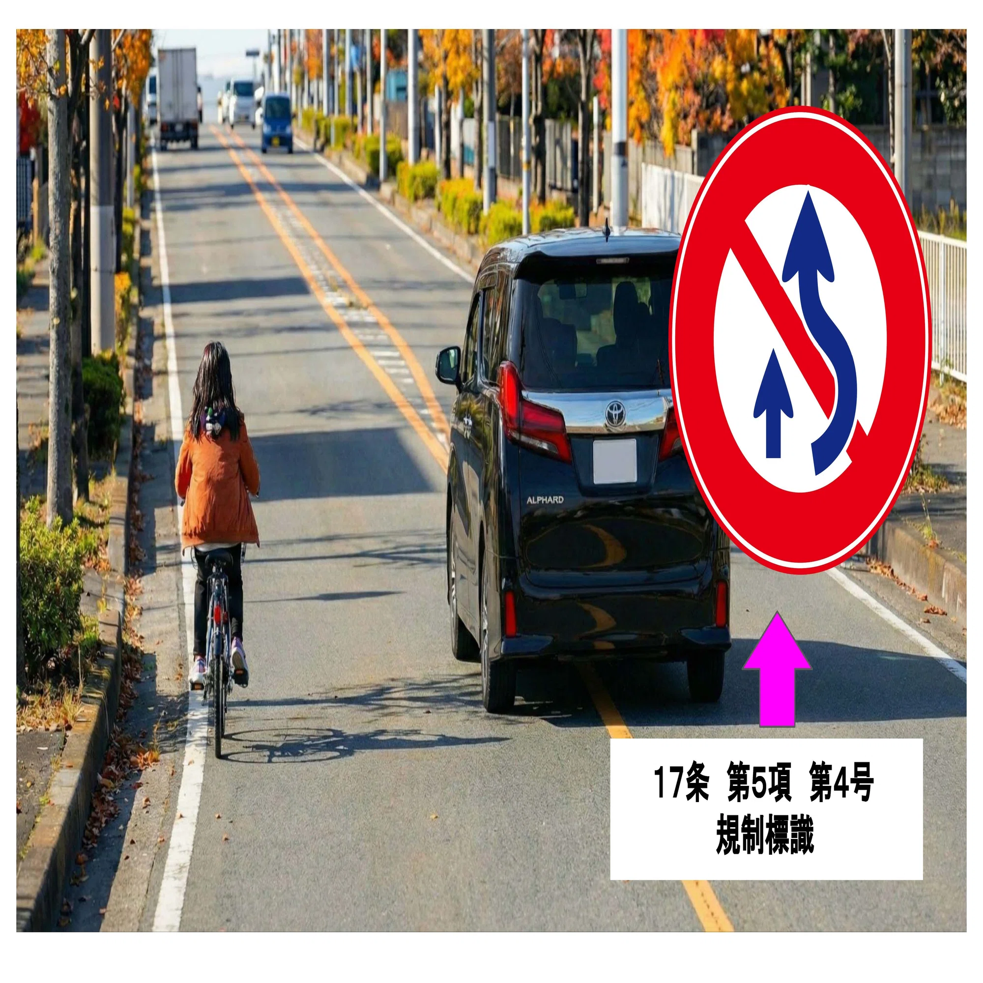 自転車 追い越し 黄色線