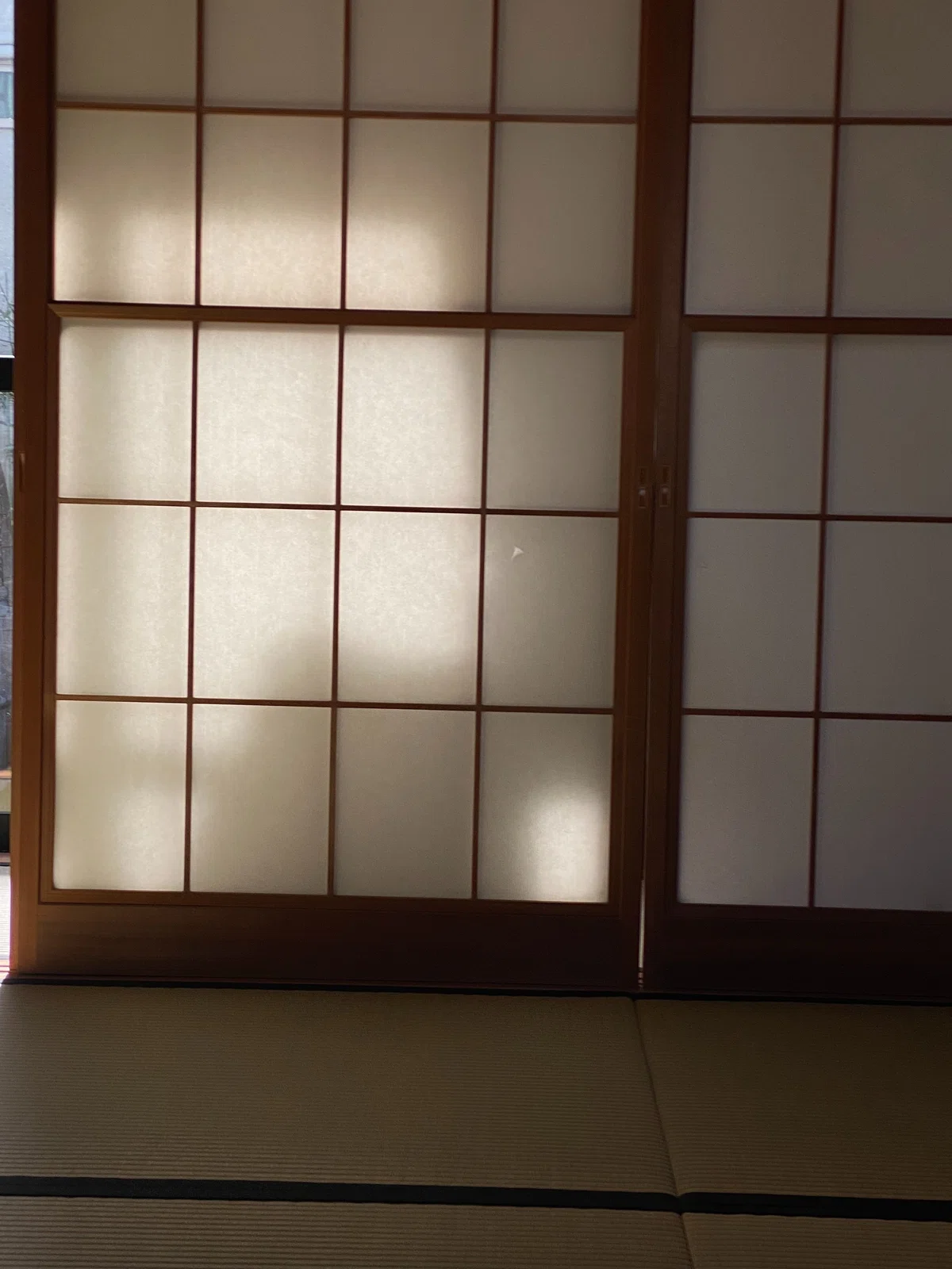 茶室の障子越しに差す柔らかな冬の日差しと陰影。初釜の席に漂う静寂な空気感。