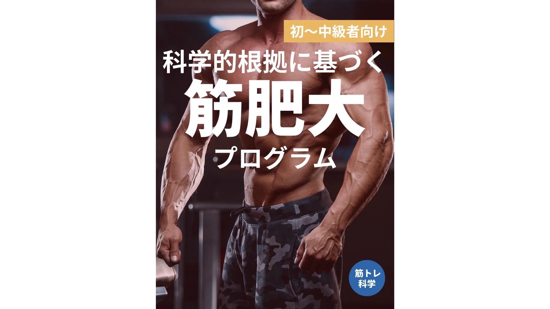 初～中級者向け】科学的根拠に基づく筋肥大・増量プログラム 3.0｜筋