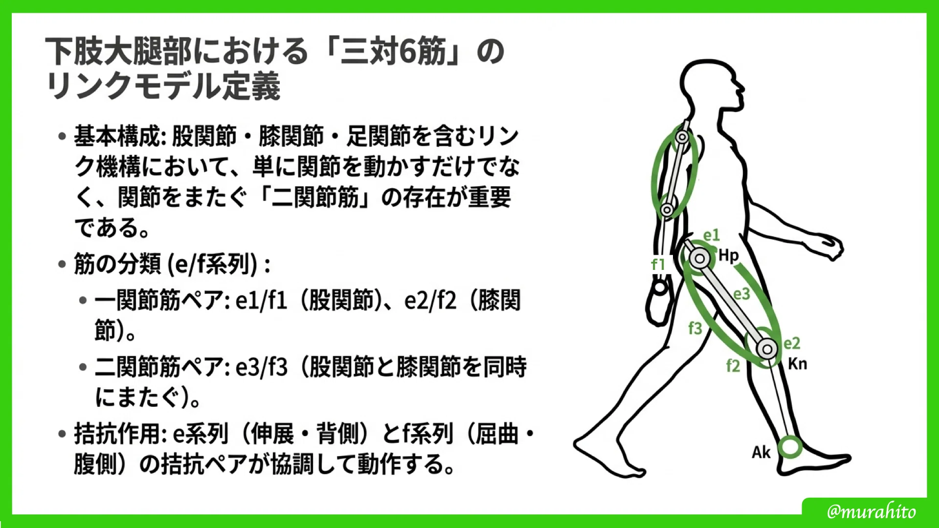 重力下での「制御」を再考する：二関節リンクモデルが解き明かすヒトと
