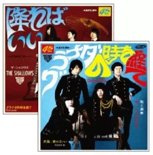ザ・シャロウズ レコードジャケット 2012.12月 撮影｜レトロな風景と