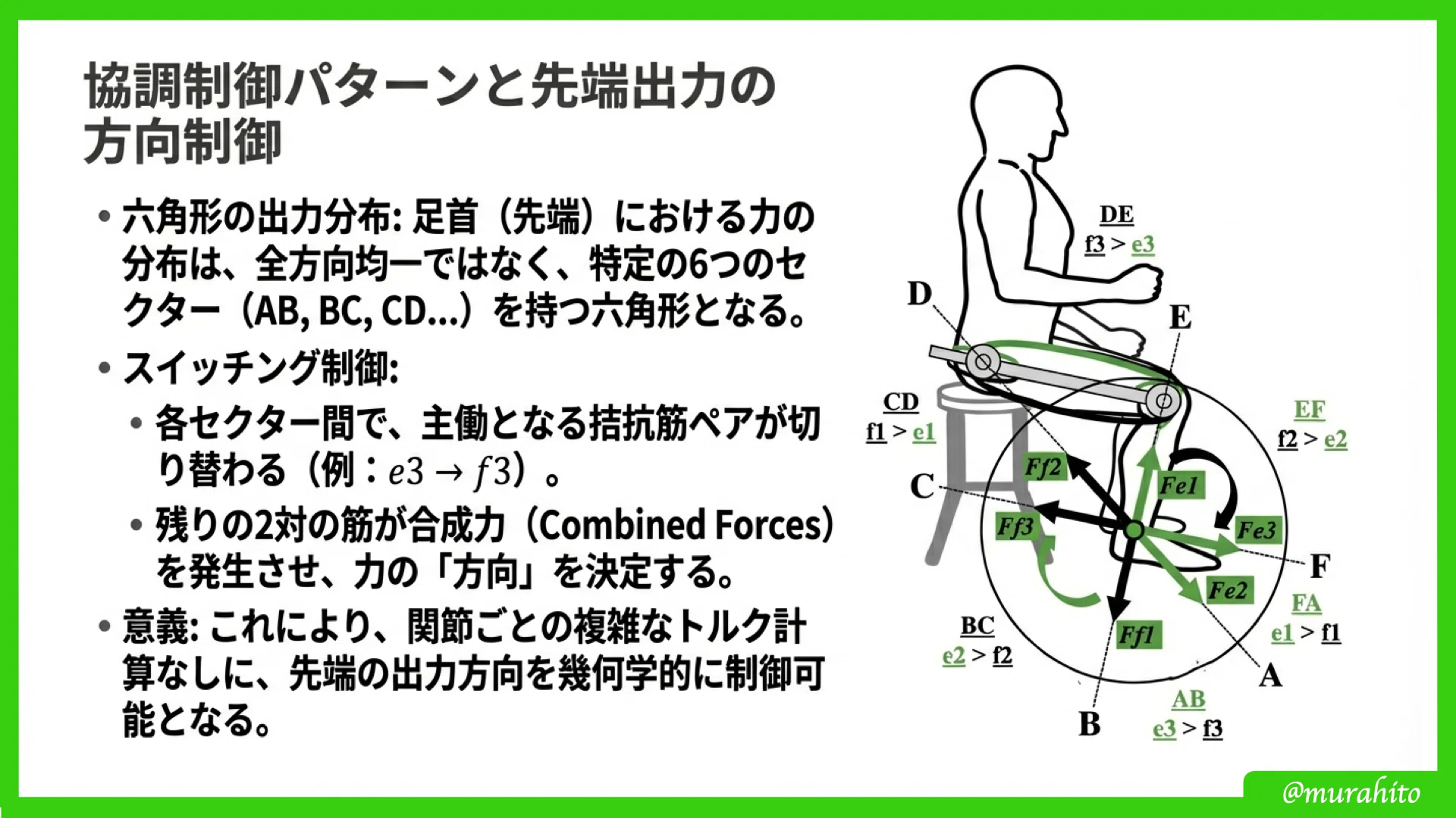 二関節筋の協調制御理論(重力が育てた運動制御のメカニズム) 二関節筋の協調制御理論(重力が育てた運動制御のメカニズム) | 熊本 水