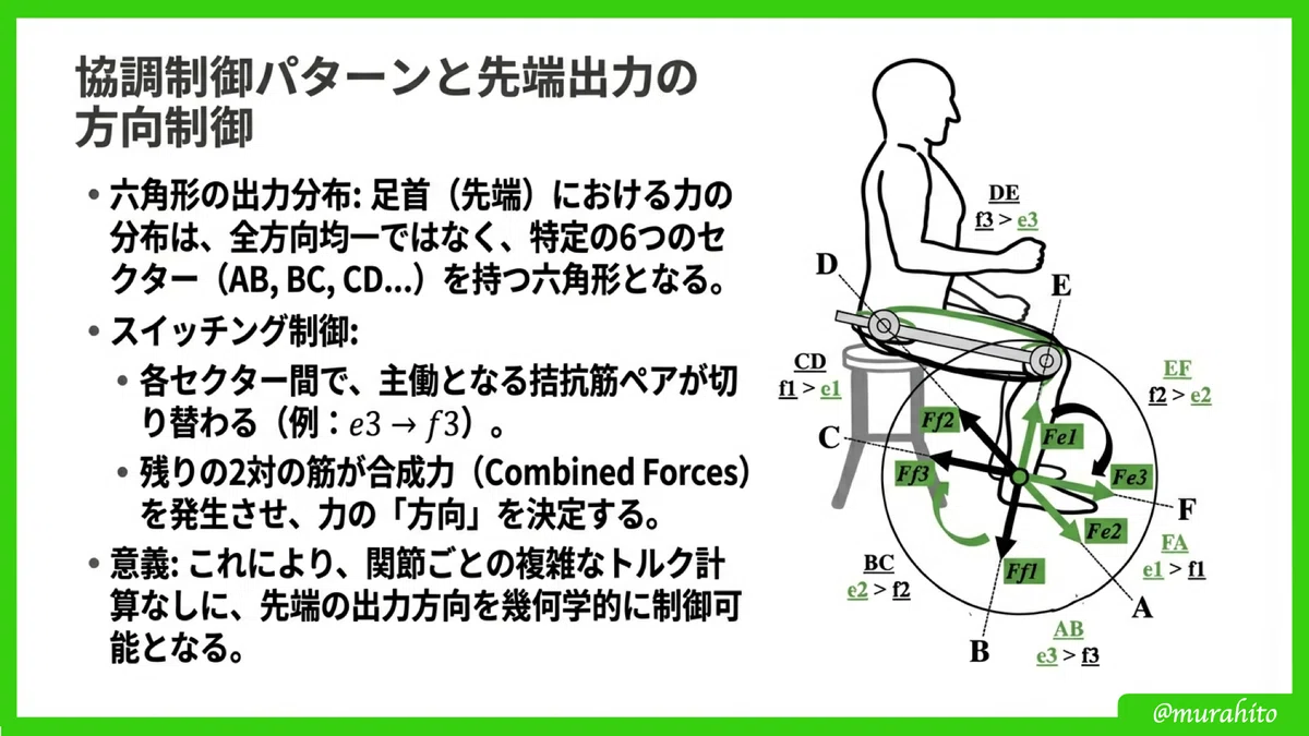 重力下での「制御」を再考する：二関節リンクモデルが解き明かすヒトと