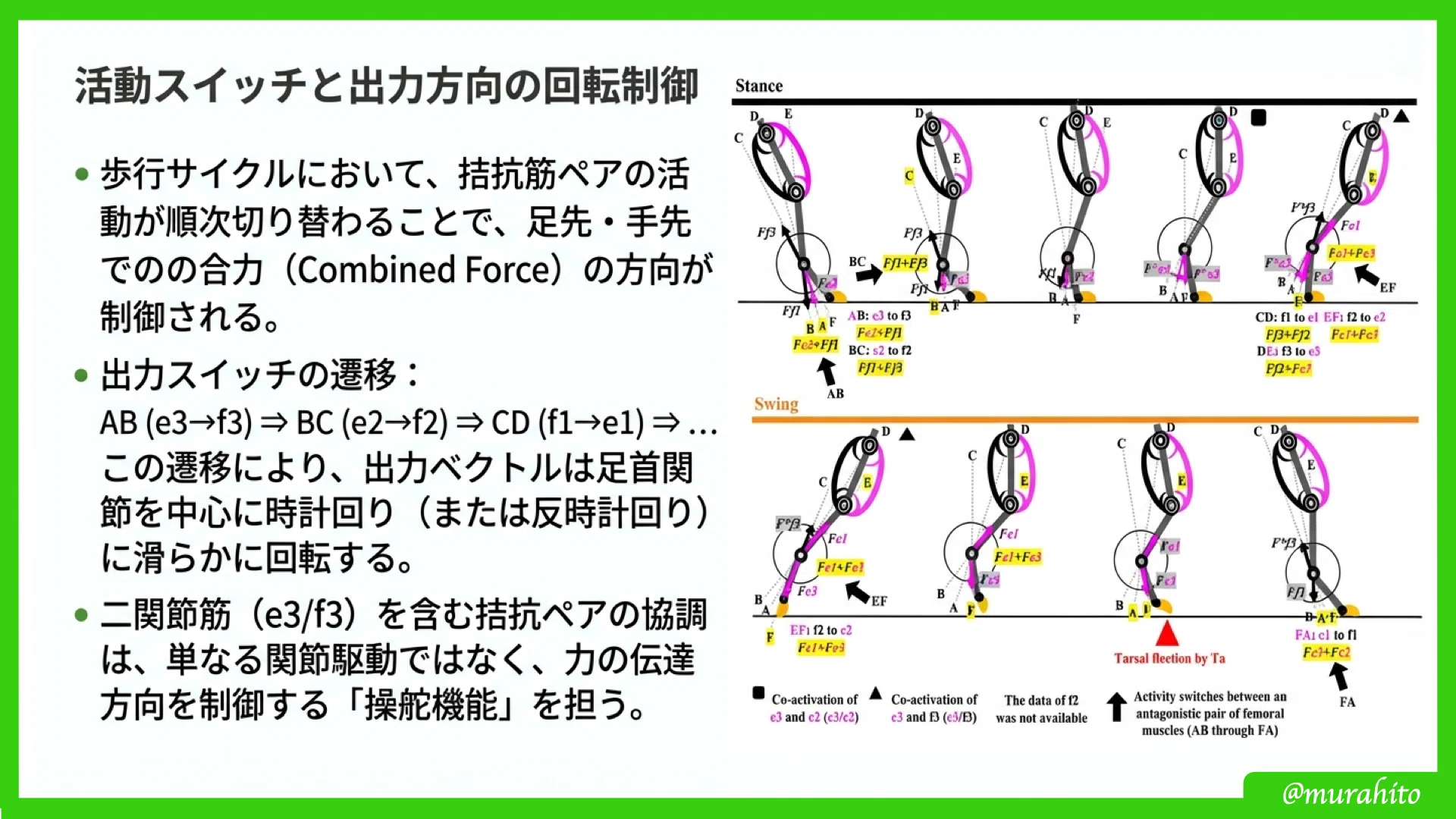 重力下での「制御」を再考する：二関節リンクモデルが解き明かすヒトと