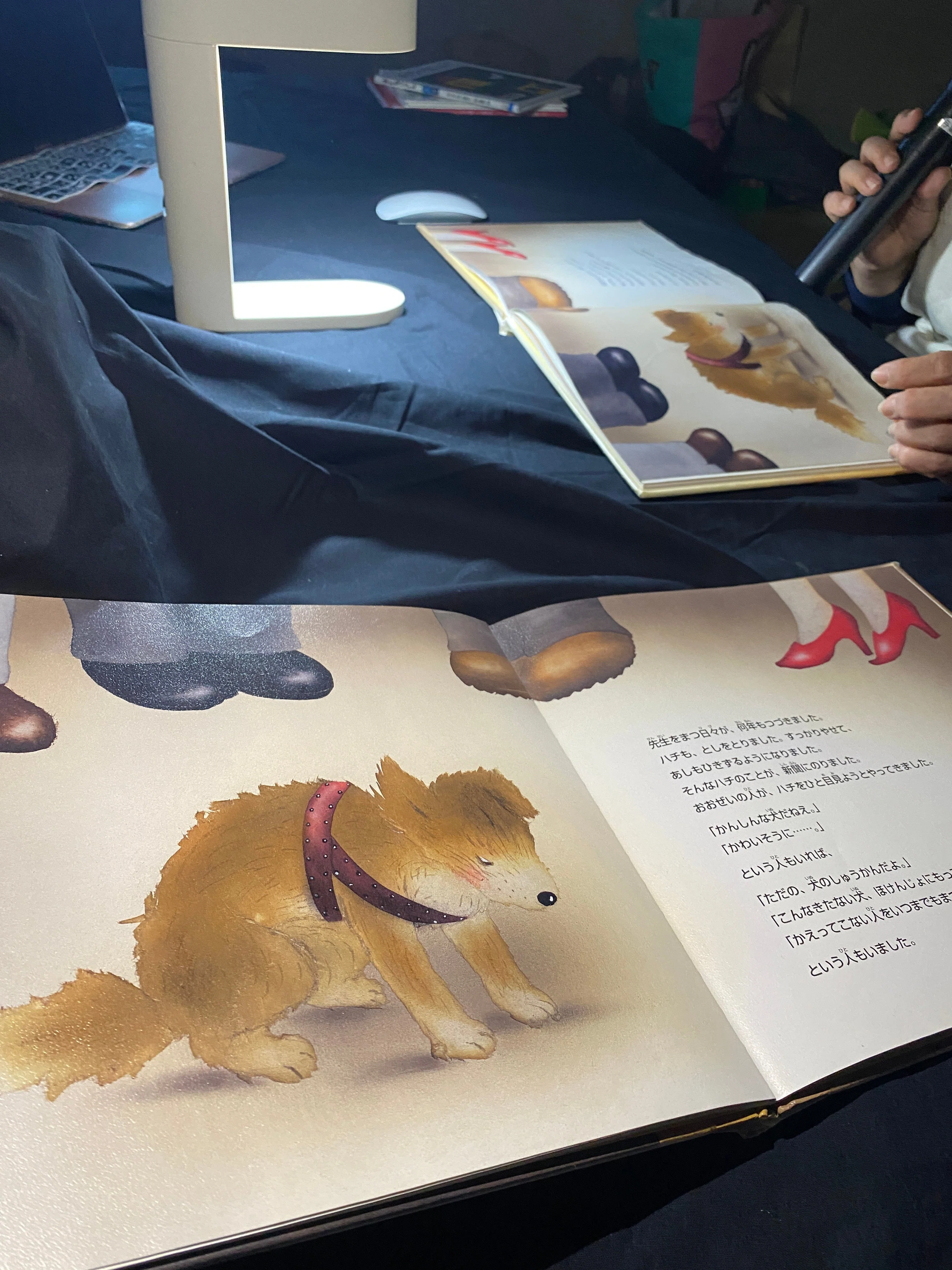 絵本レビュー】『いとしの犬 ハチ』📕今の子供達にも知ってほしい♡何