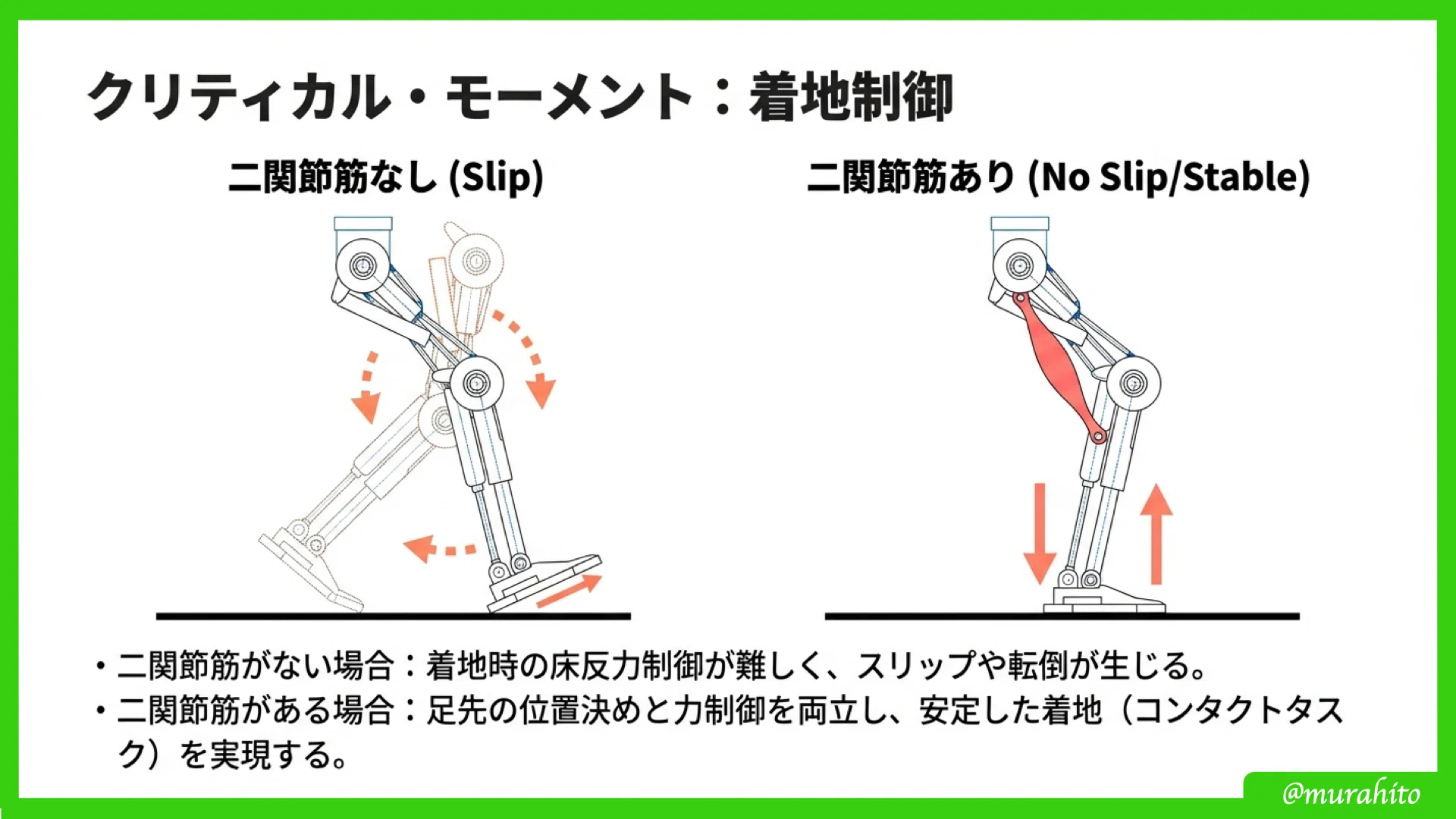重力下での「制御」を再考する：二関節リンクモデルが解き明かすヒトと