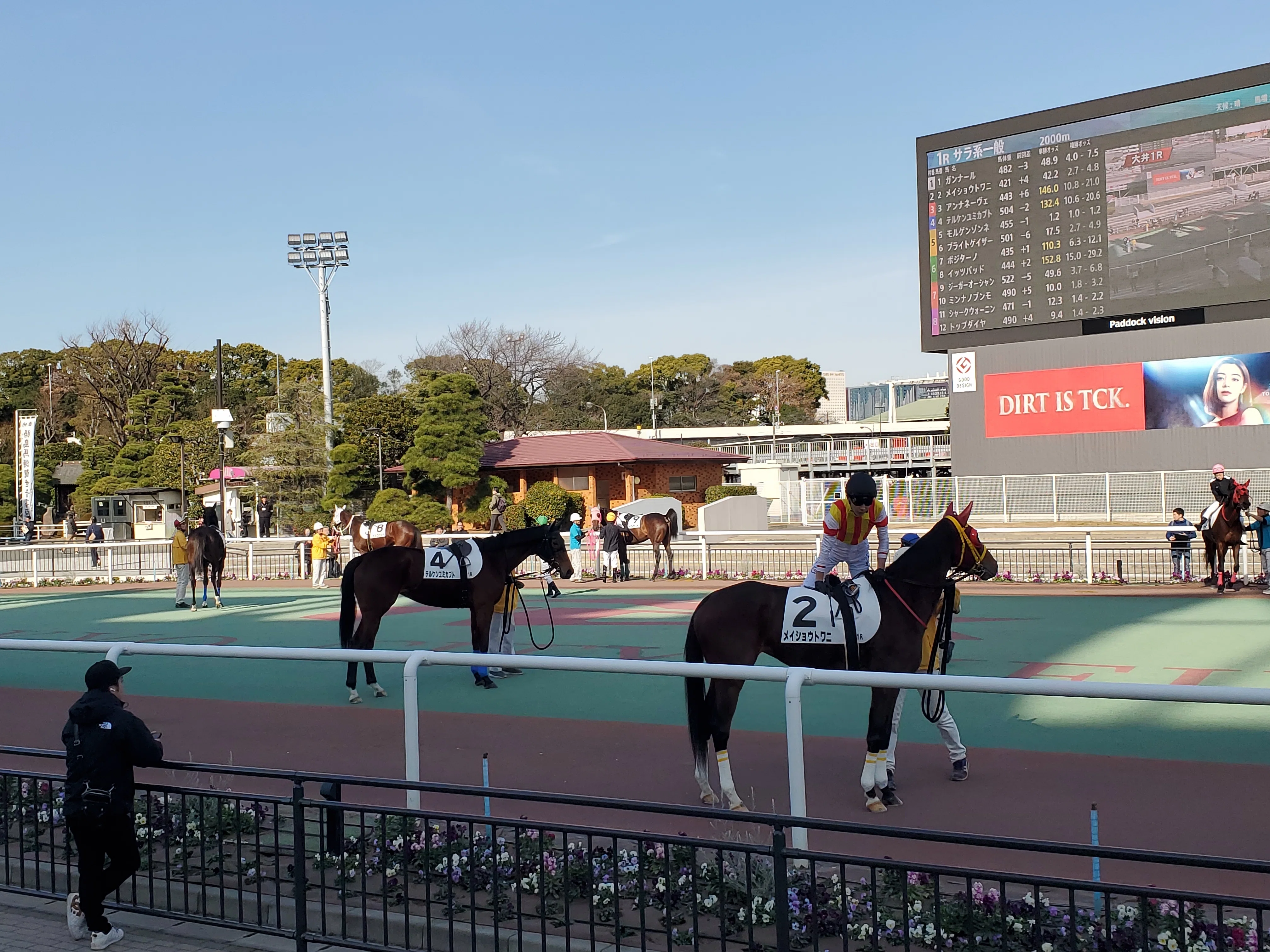 昼の大井競馬｜内田S