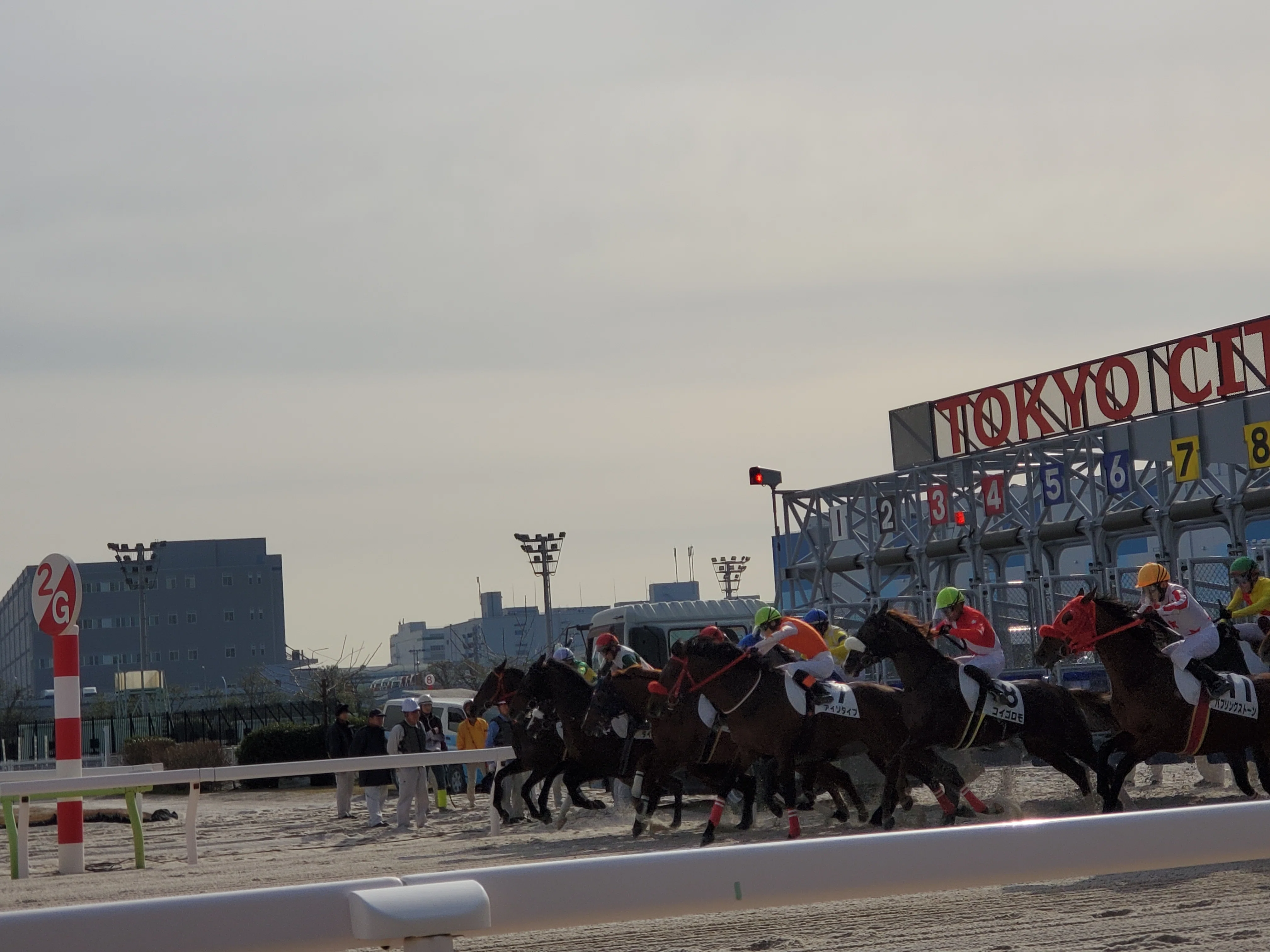 昼の大井競馬｜内田S