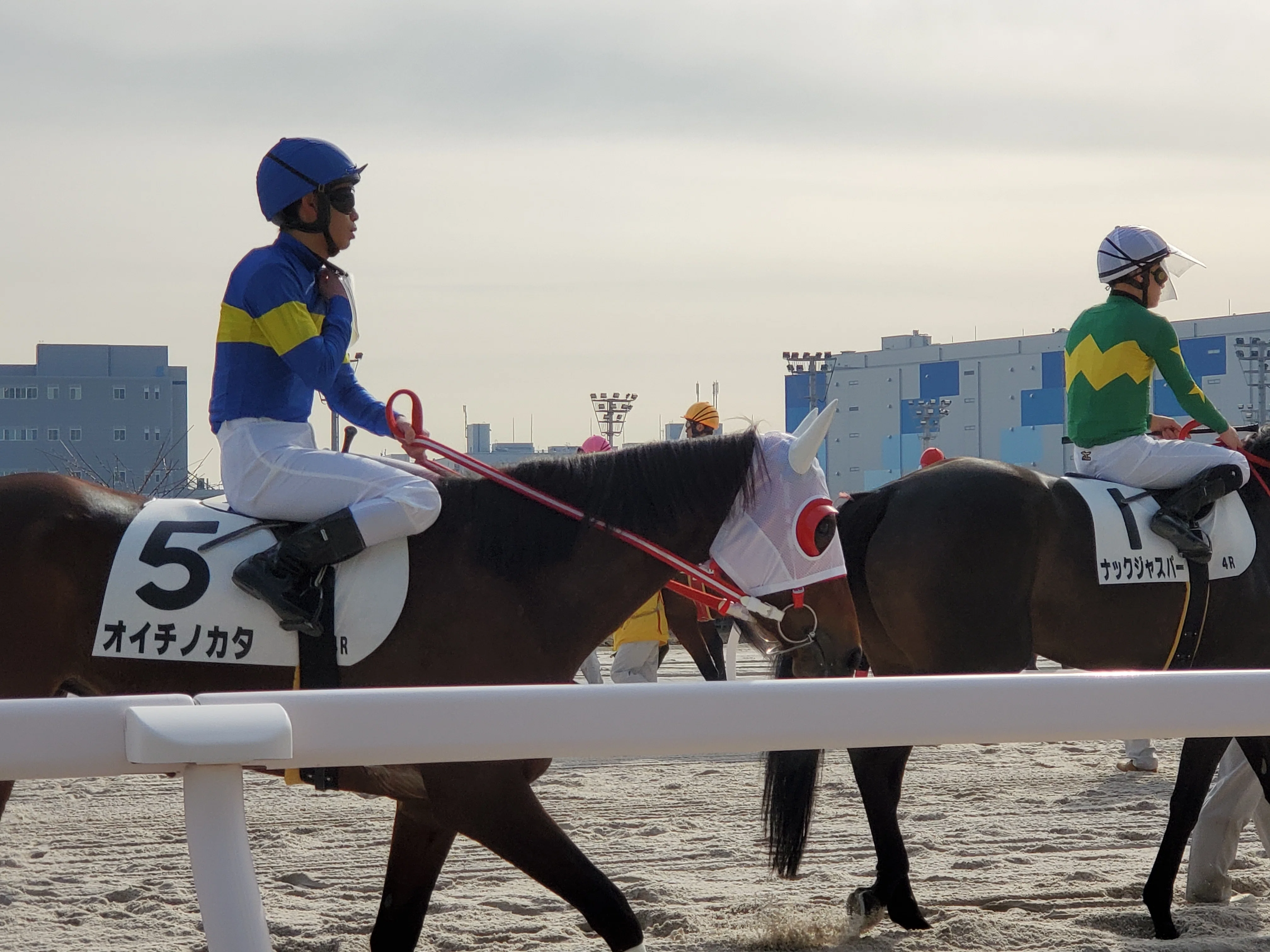 昼の大井競馬｜内田S
